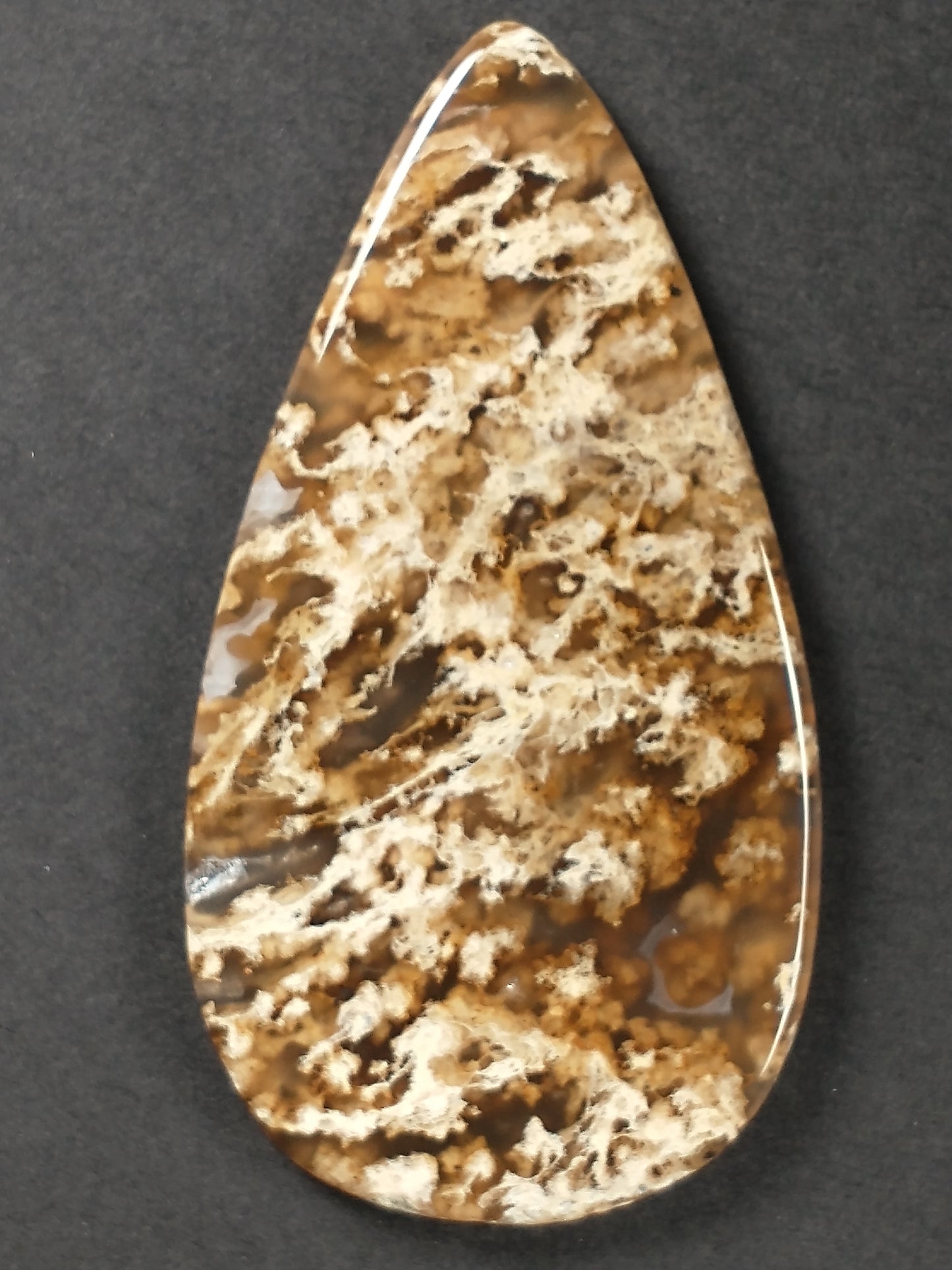Plume Agate Cabochon X Large