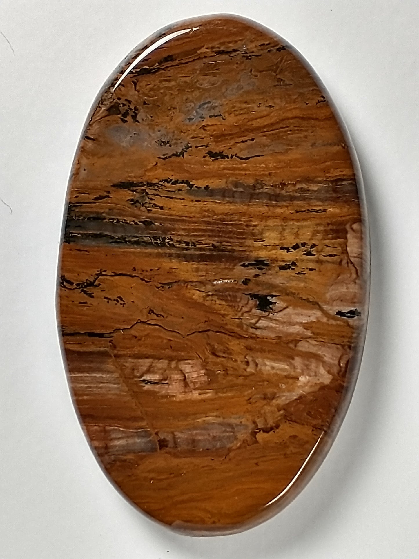 Deschutes Jasper Cabochon Large