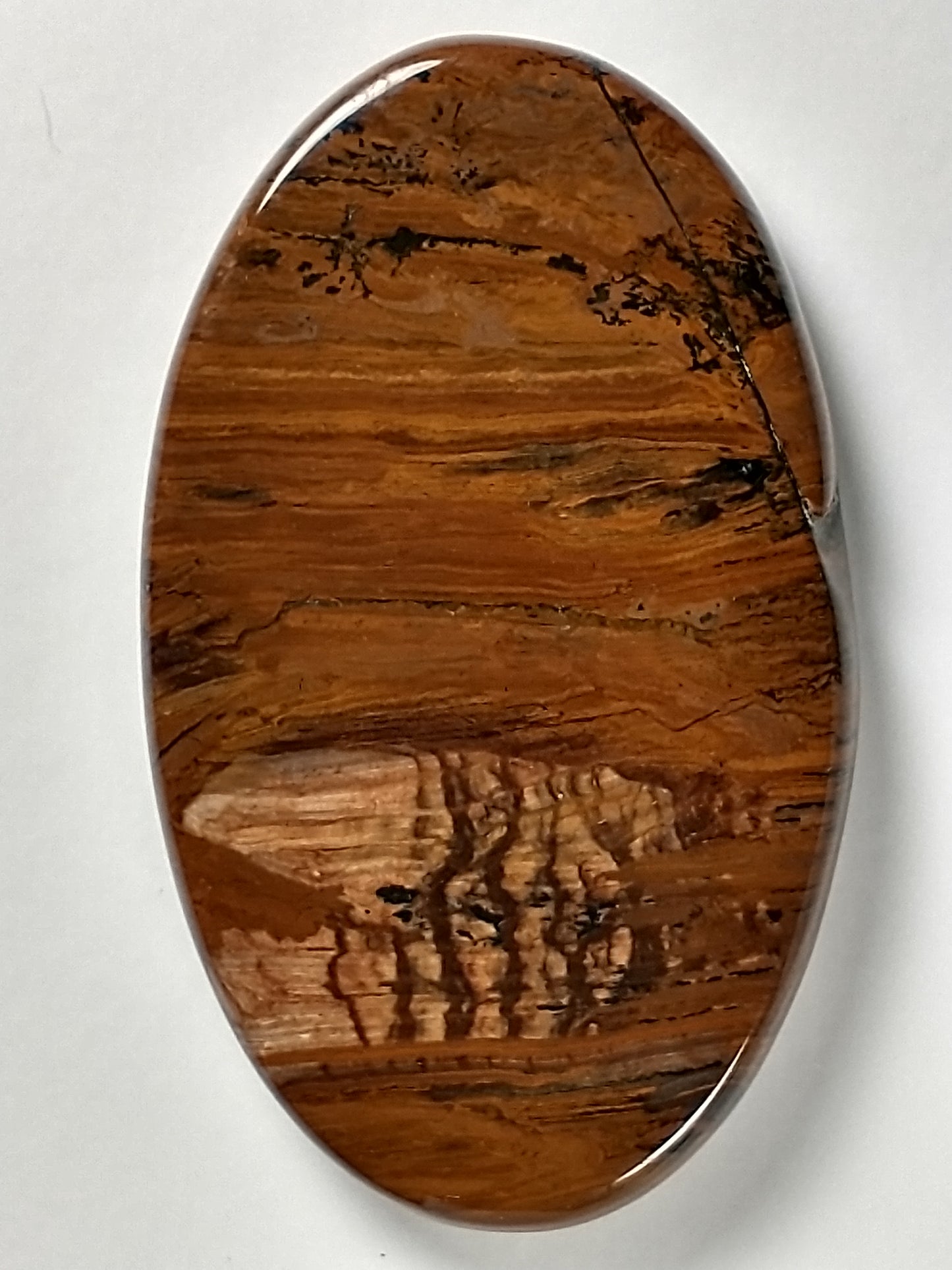 Deschutes Jasper Cabochon Large