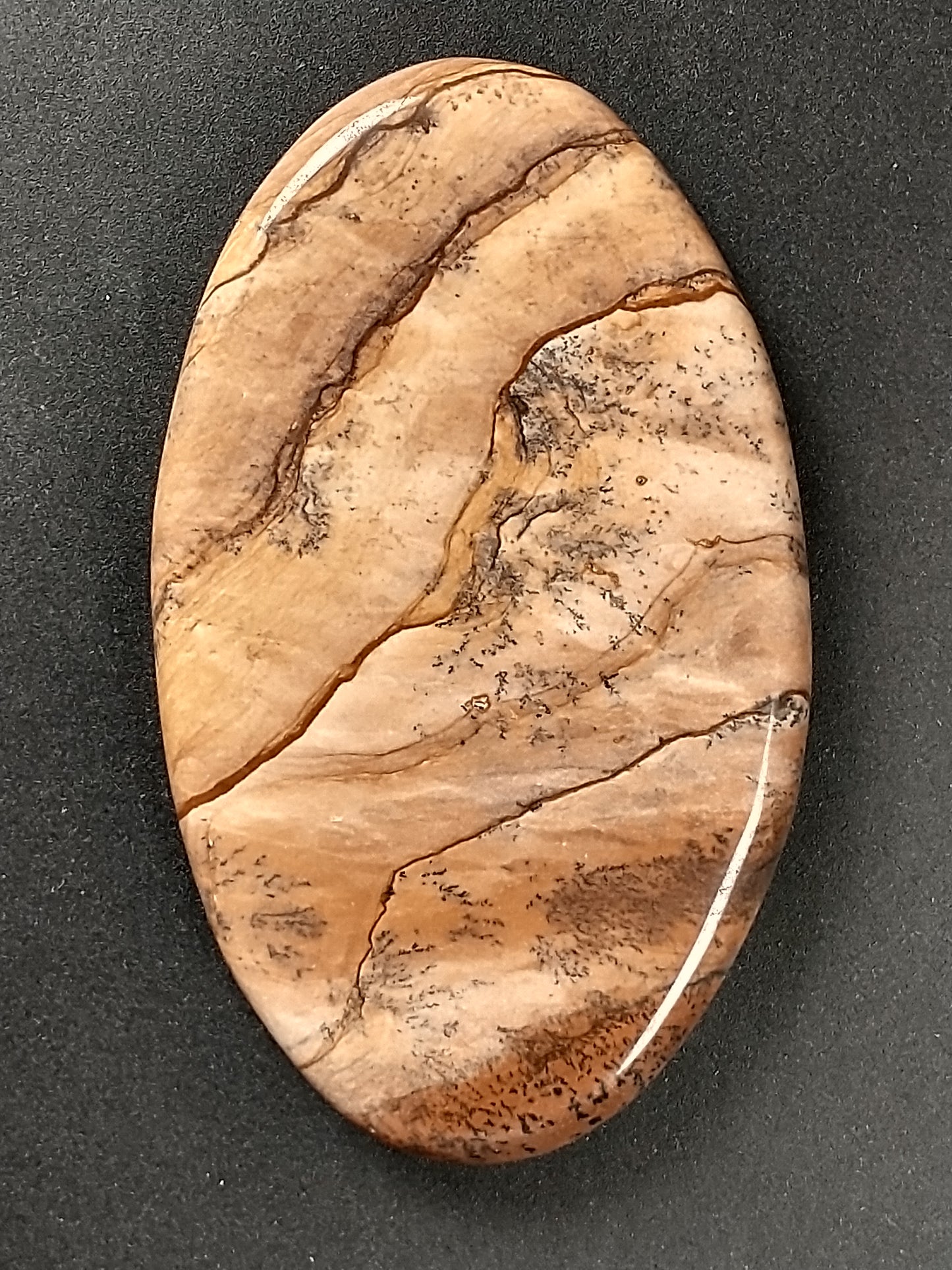 Biggs Jasper Cabochon Large