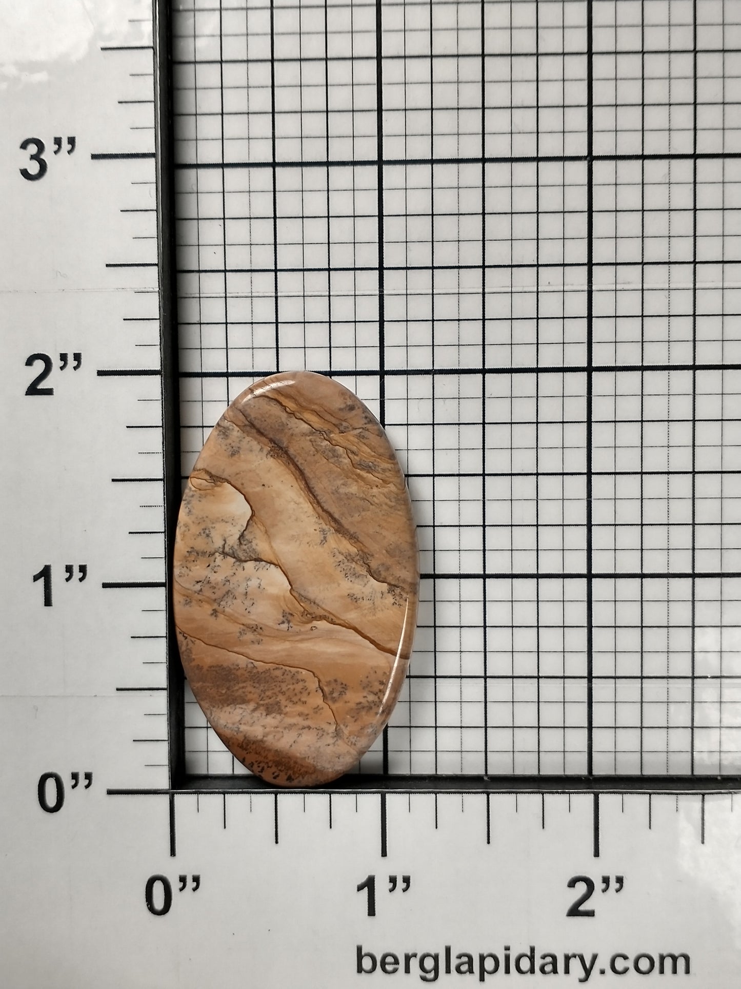 Biggs Jasper Cabochon Large