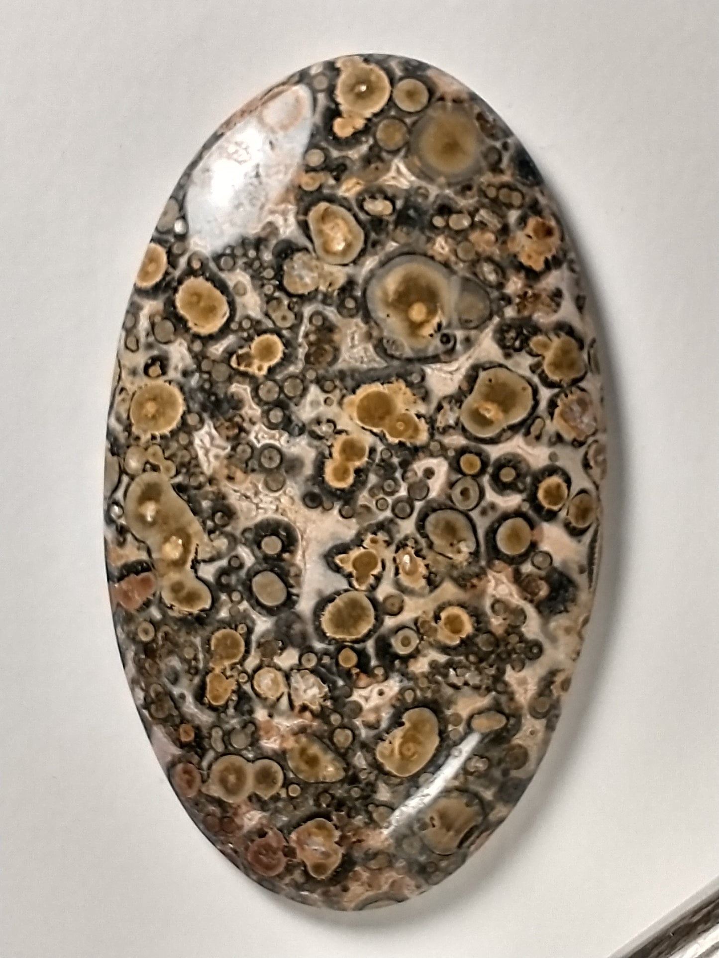 Leopard Skin Jasper Cabochon Large