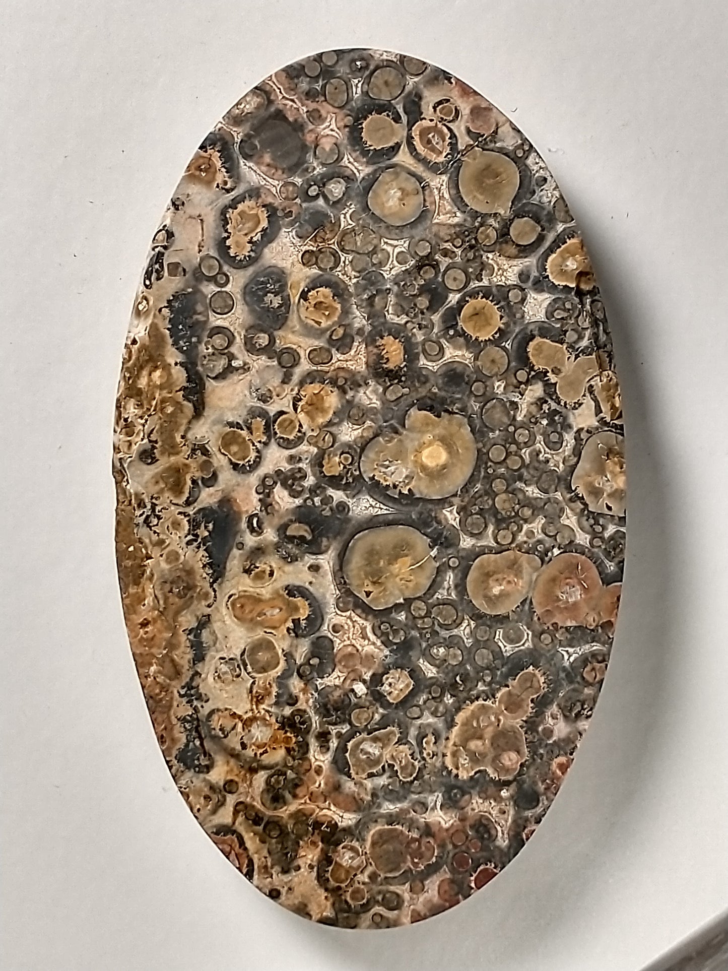 Leopard Skin Jasper Cabochon Large