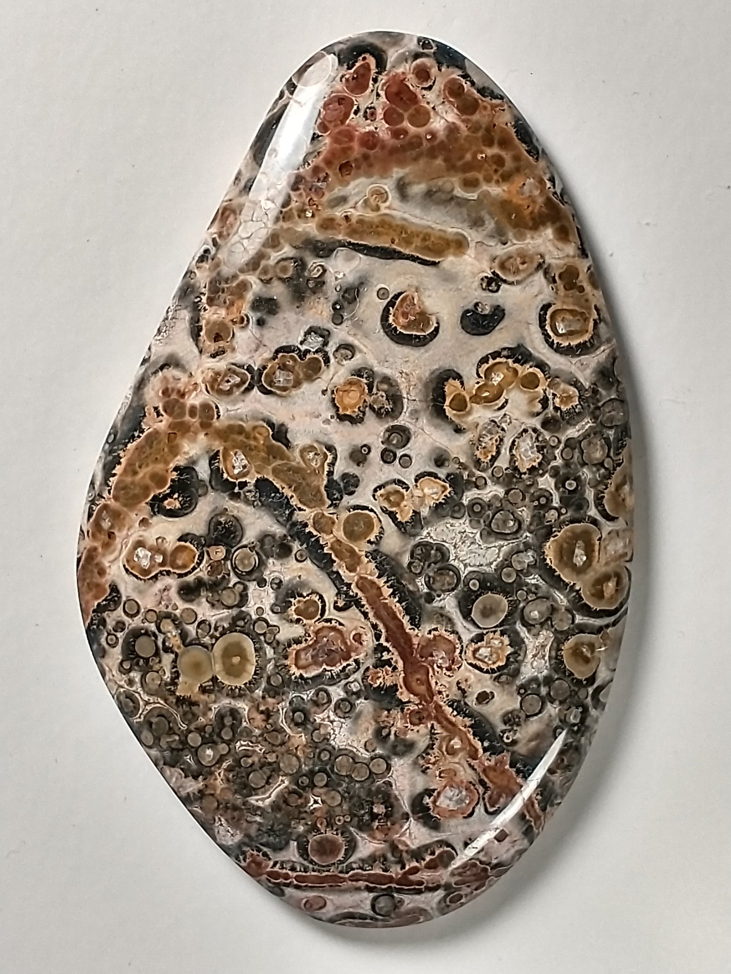 Leopard Skin Jasper Cabochon Large