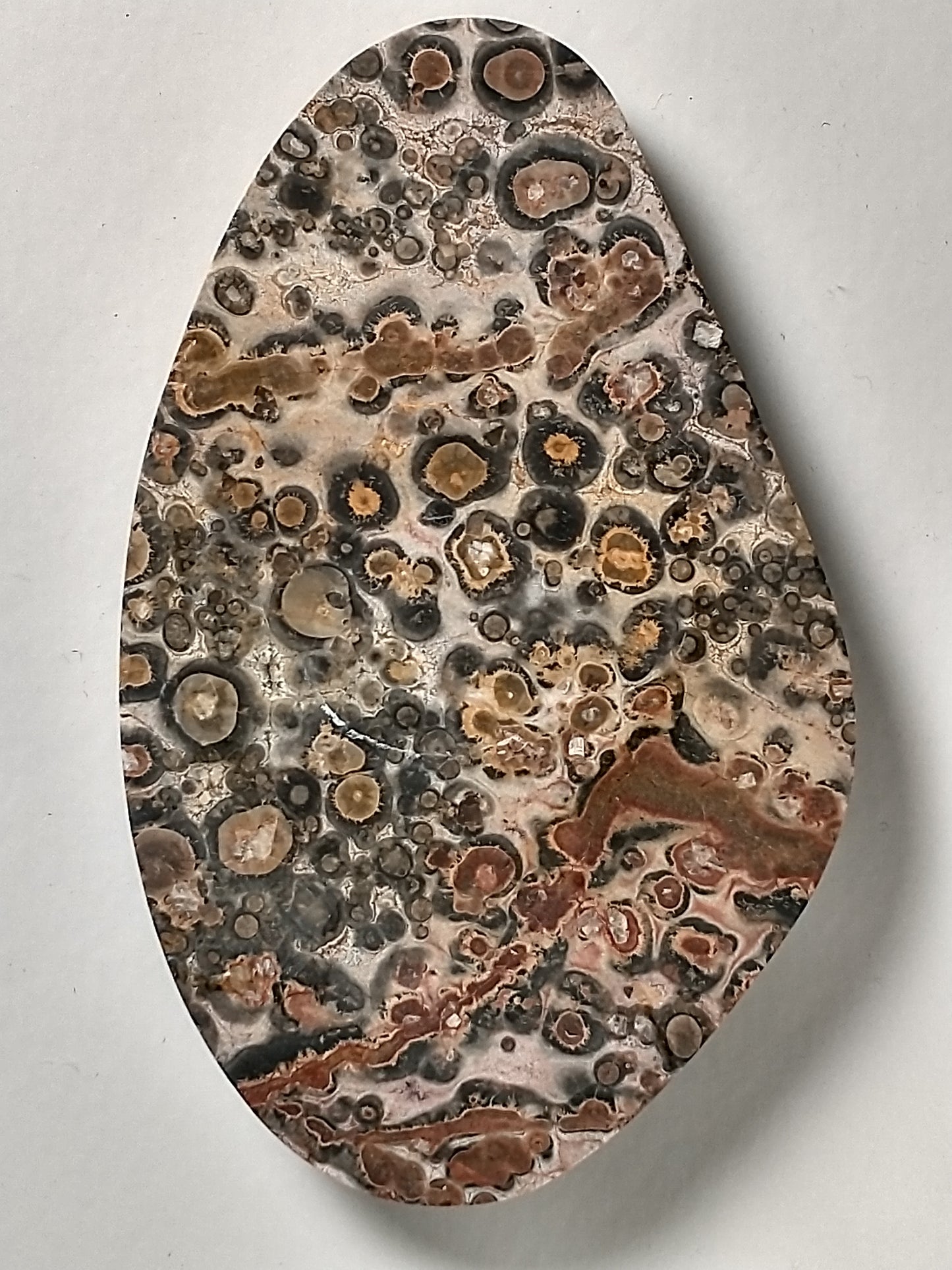 Leopard Skin Jasper Cabochon Large