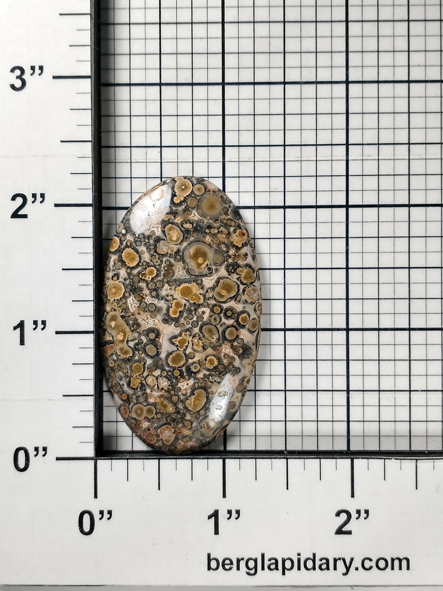 Leopard Skin Jasper Cabochon Large