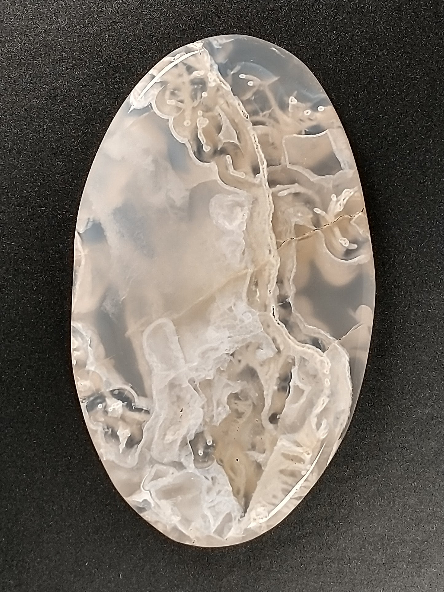 Plume Agate Cabochon Large