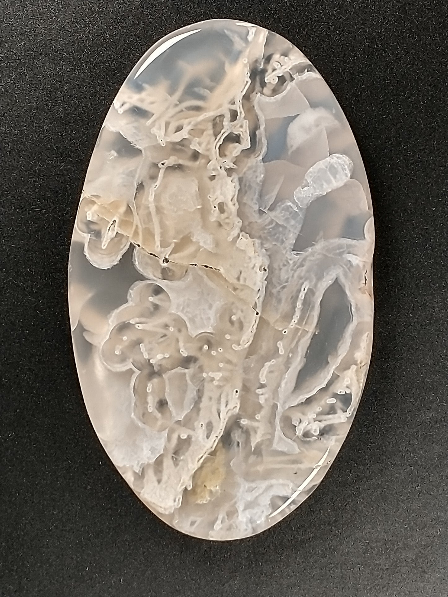 Plume Agate Cabochon Large