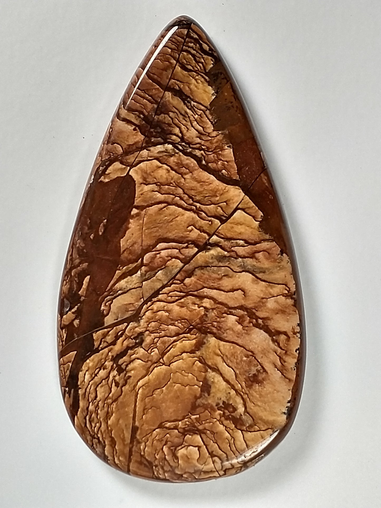 Beers Mountain Jasper Cabochon Large