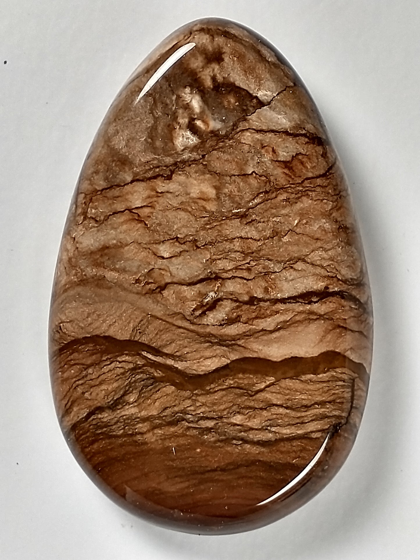 Deschutes Jasper Cabochon Medium