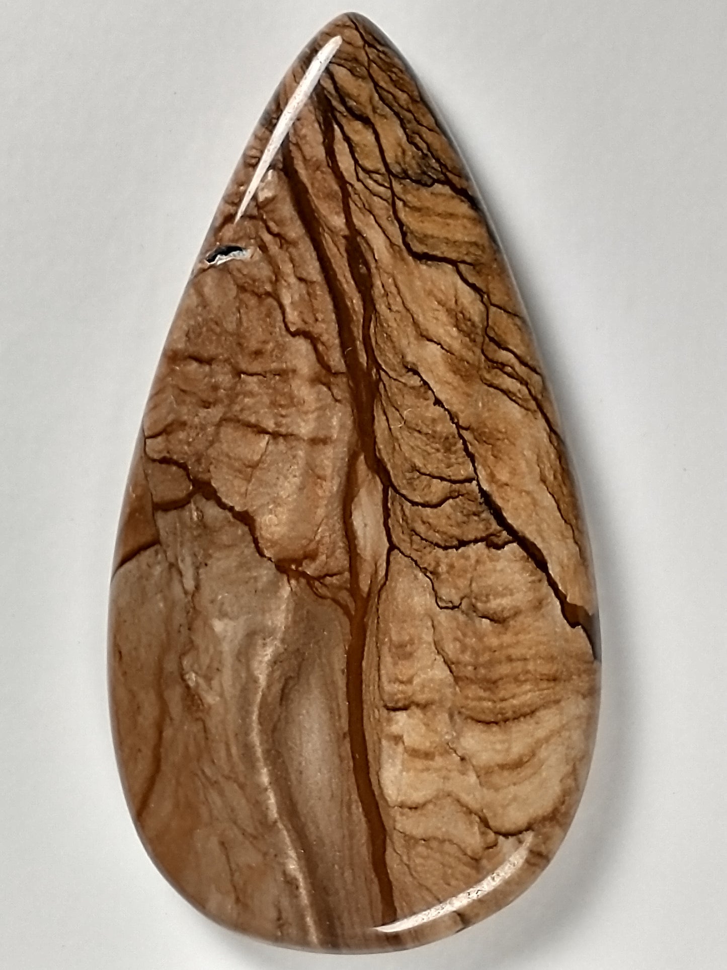 Deschutes Jasper Cabochon Large