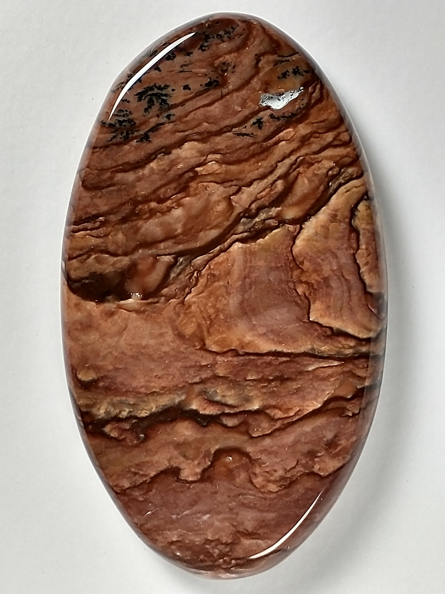 Deschutes Jasper Cabochon Large