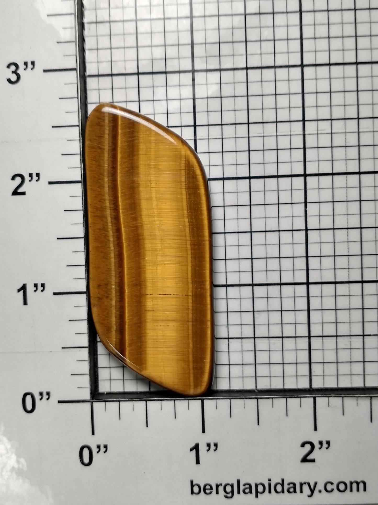 Tiger Eye Gold Cabochon X Large