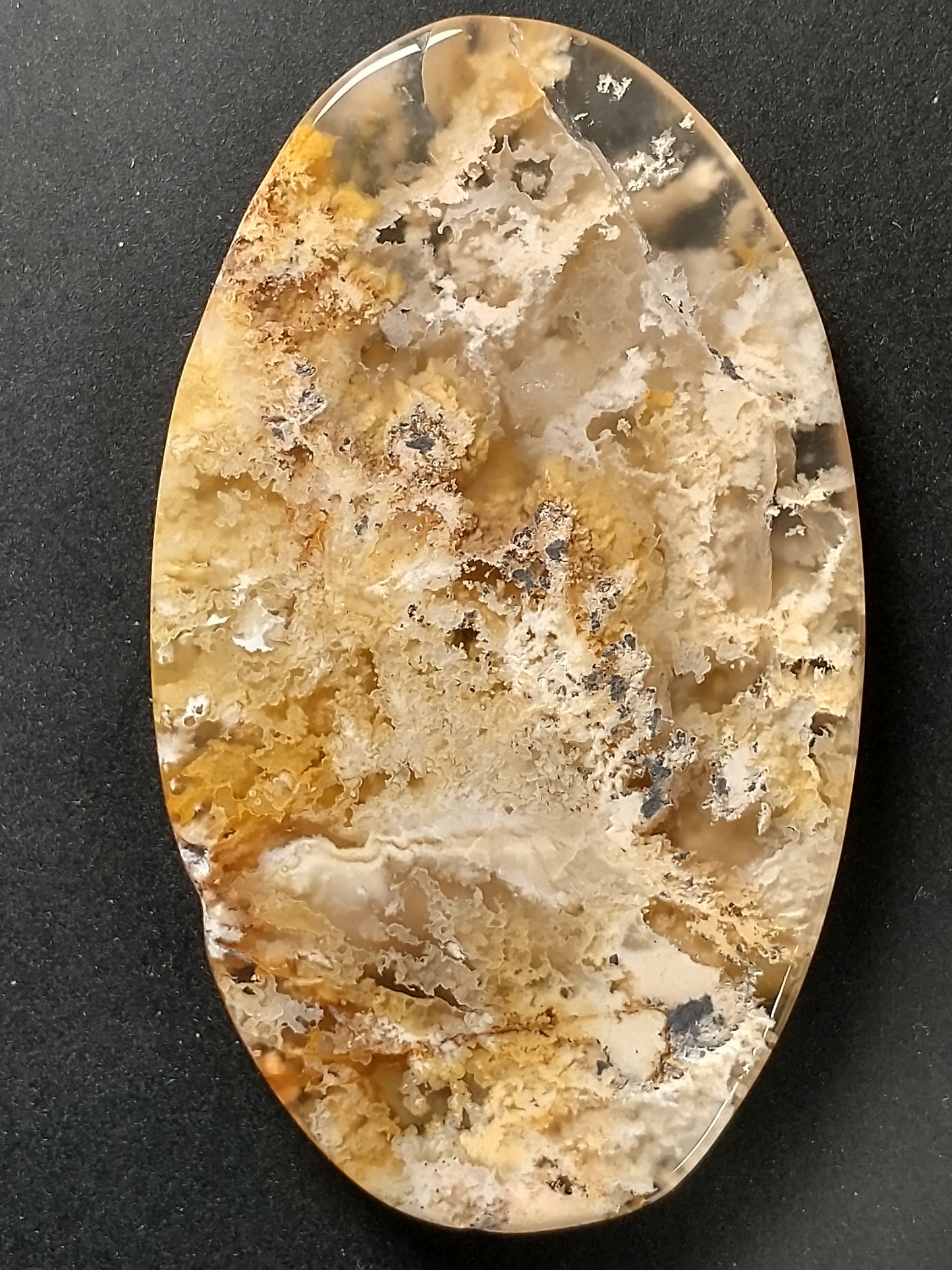 Plume Agate Cabochon Large