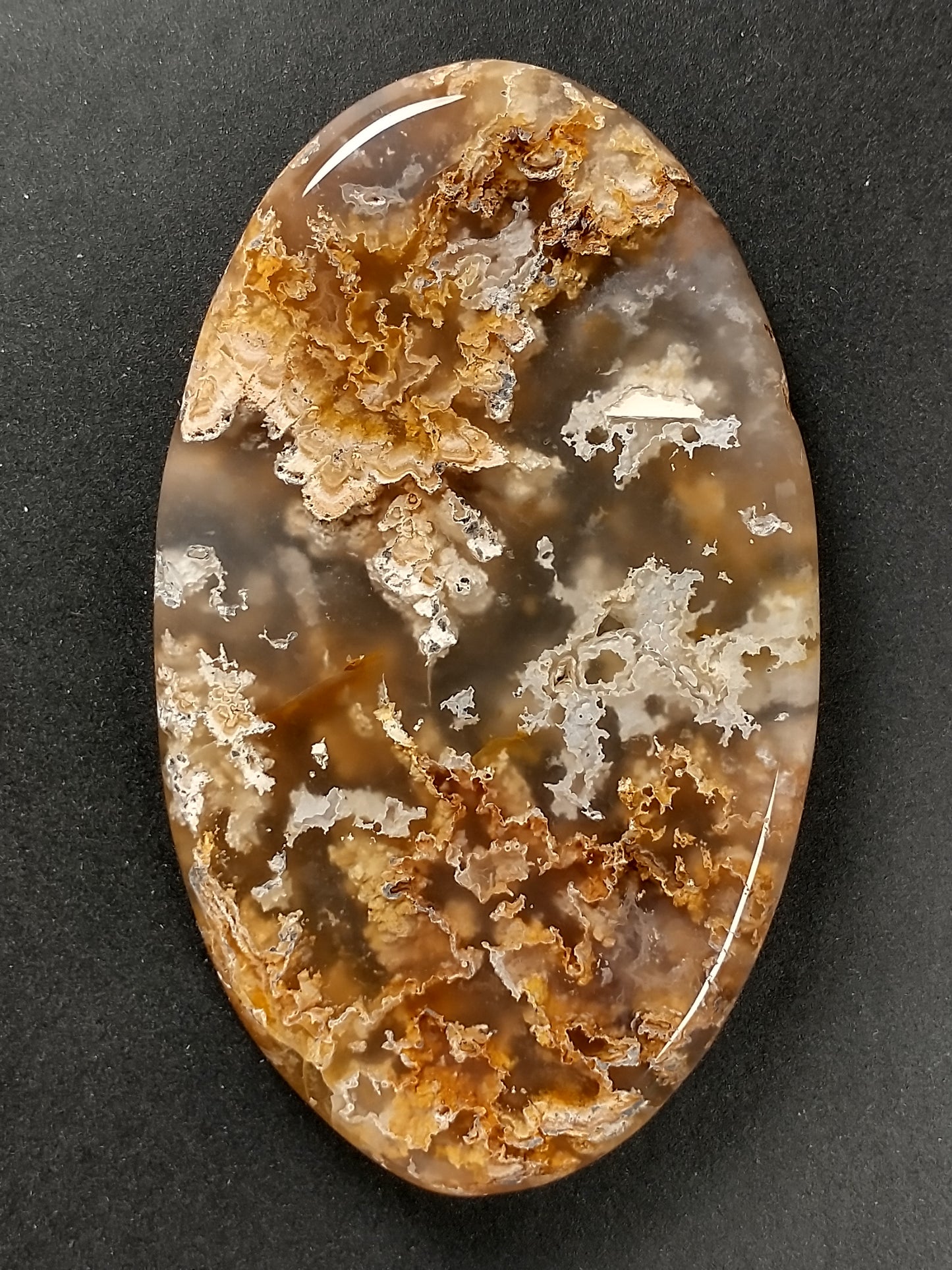 Plume Agate Cabochon Large