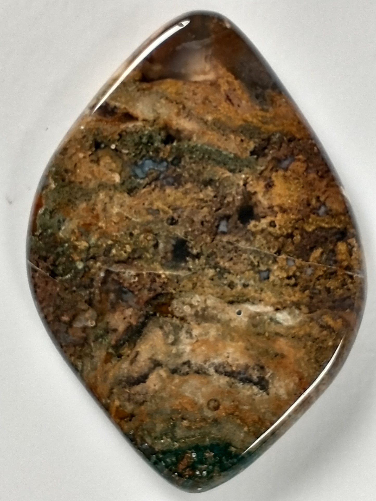 Petrified Wood Cabochon Medium