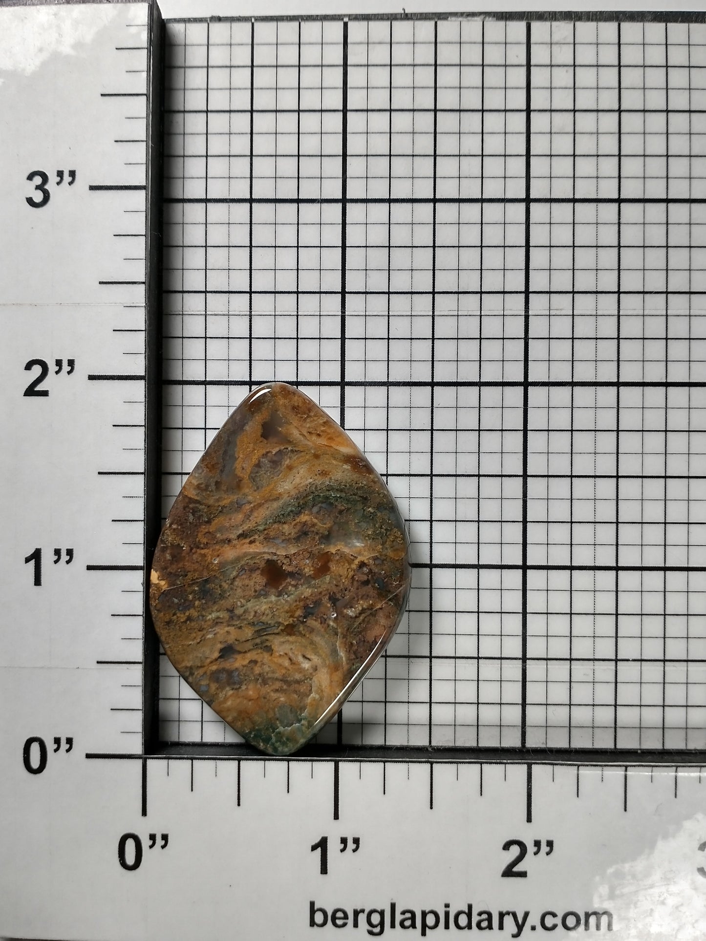 Petrified Wood Cabochon Medium