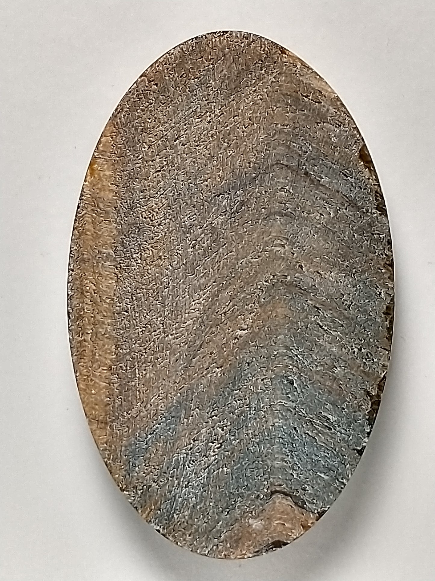 Tiger Eye Variegated Cabochon Medium