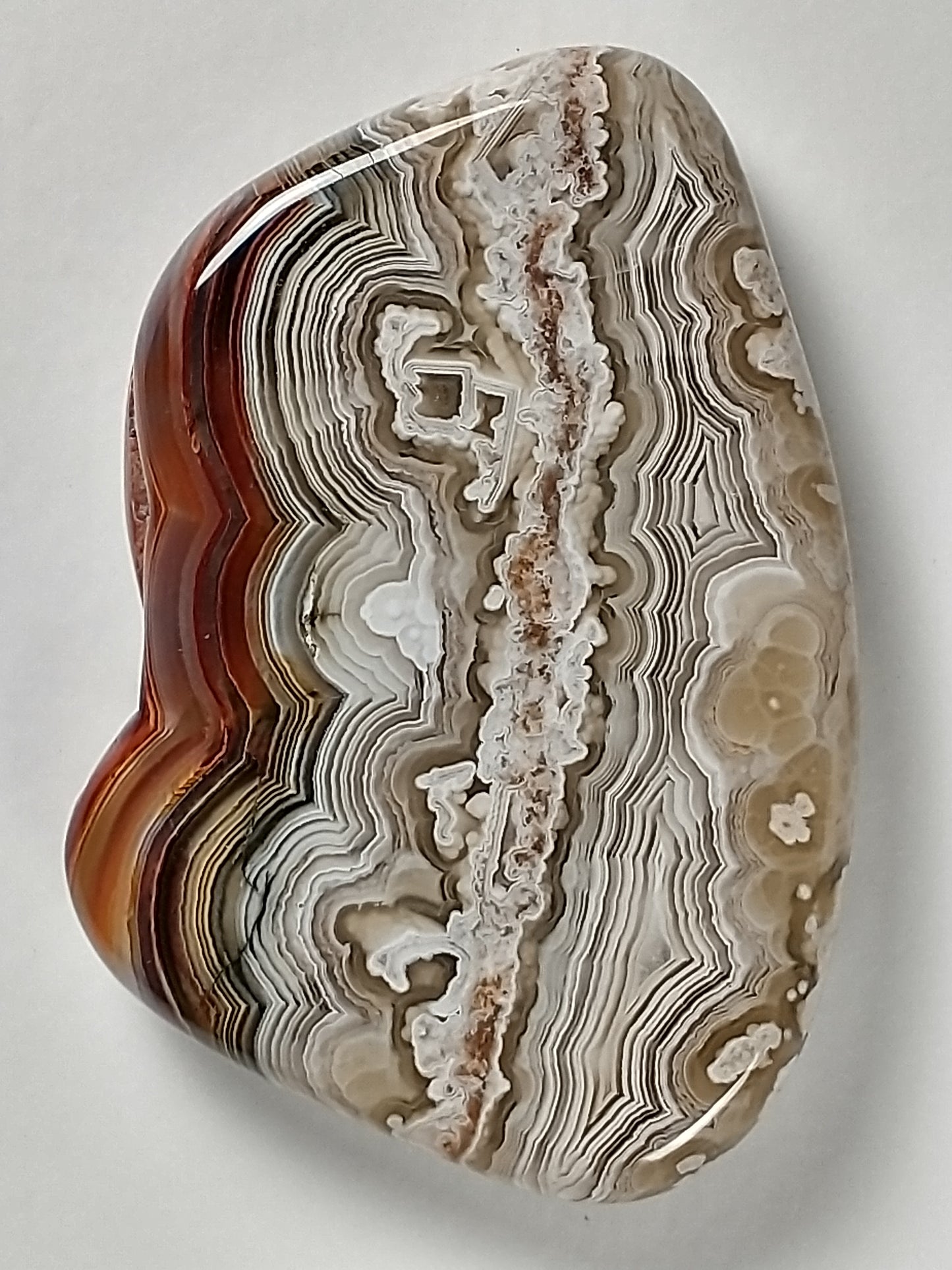 Crazy Lace Agate Cabochon Medium
