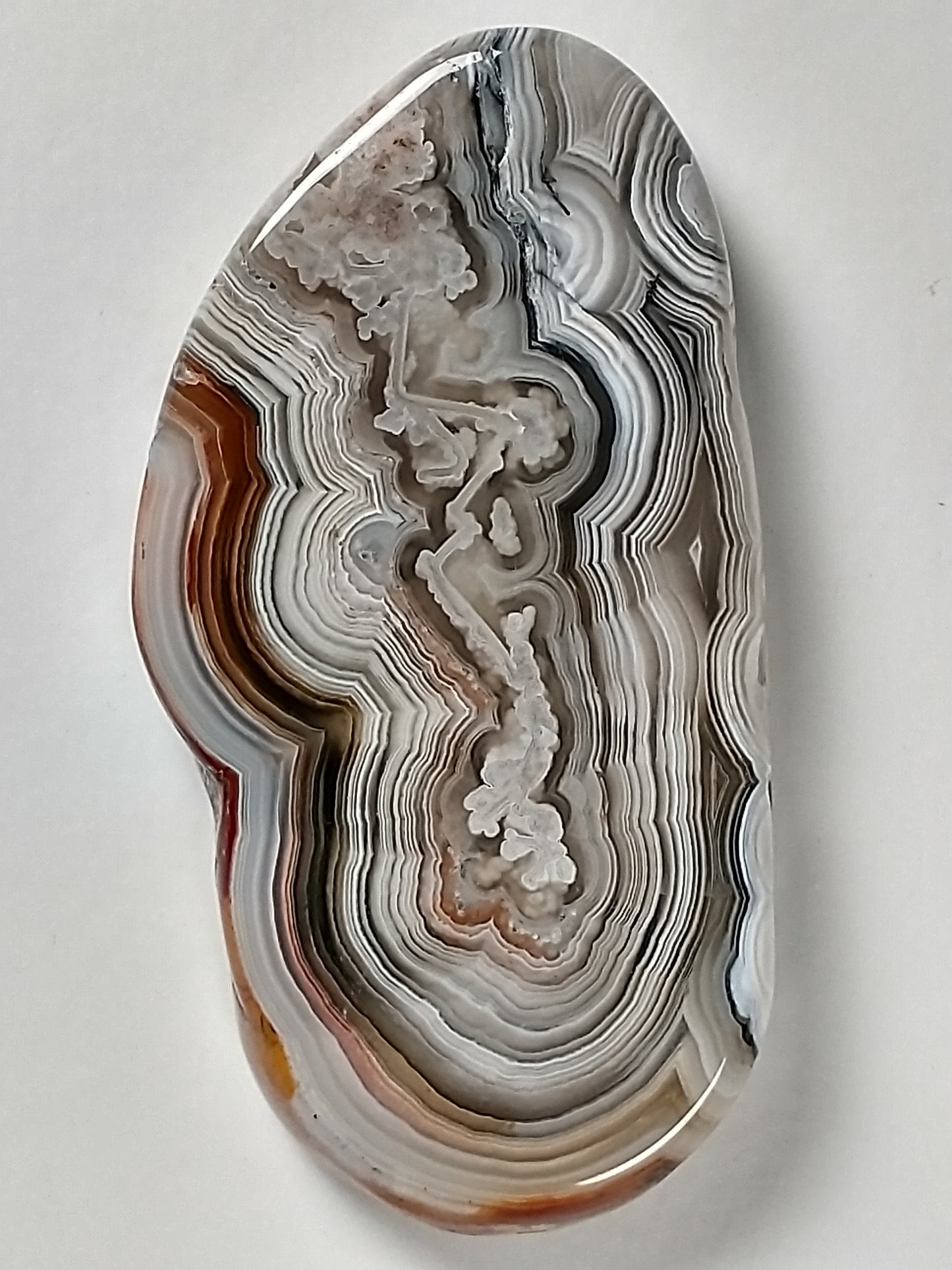 Crazy Lace Agate Cabochon Medium