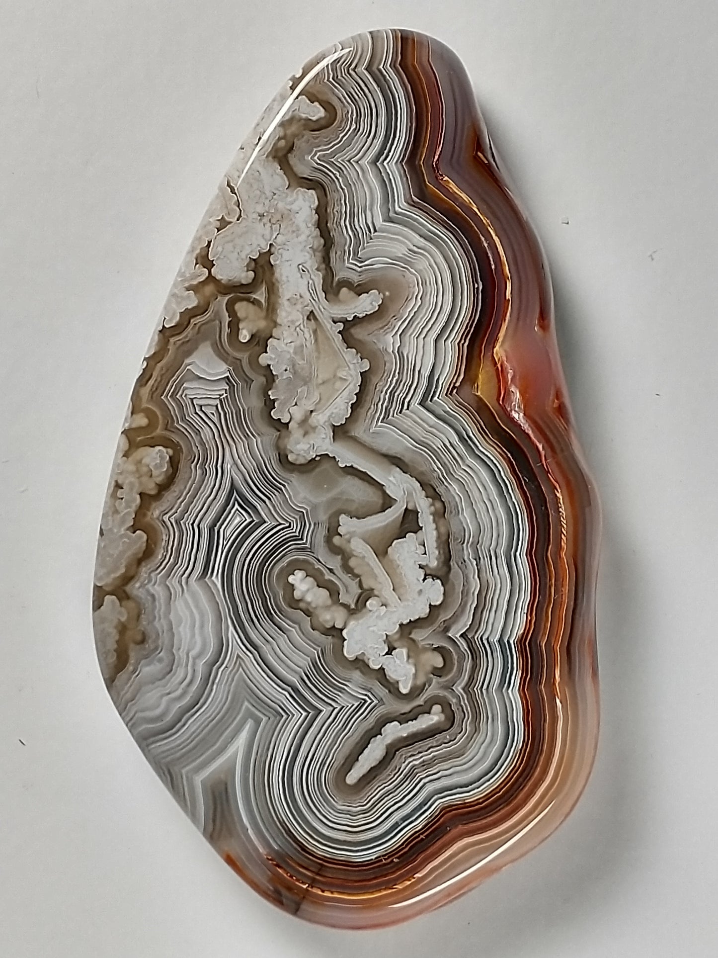 Crazy Lace Agate Cabochon Large