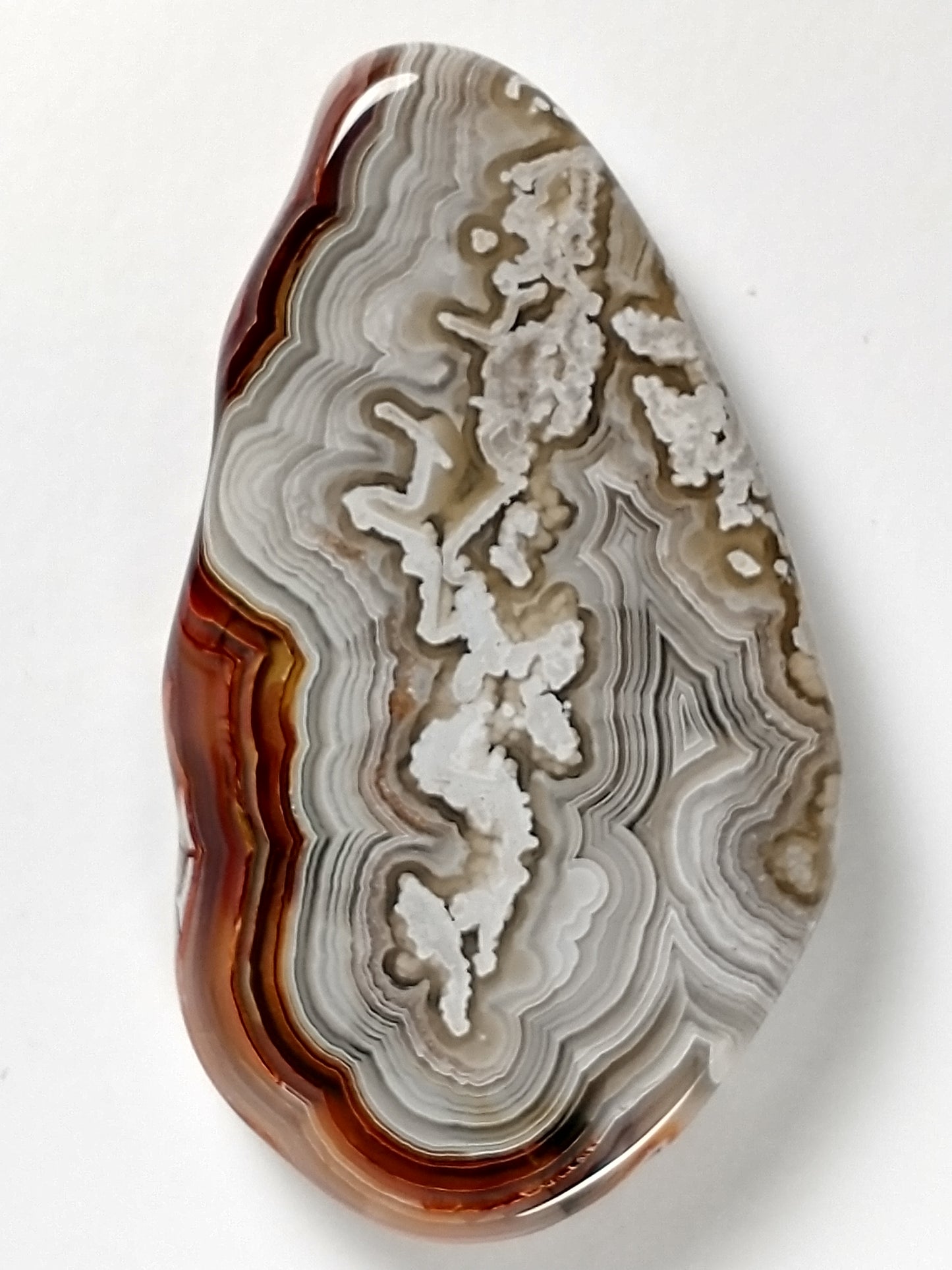 Crazy Lace Agate Cabochon Large