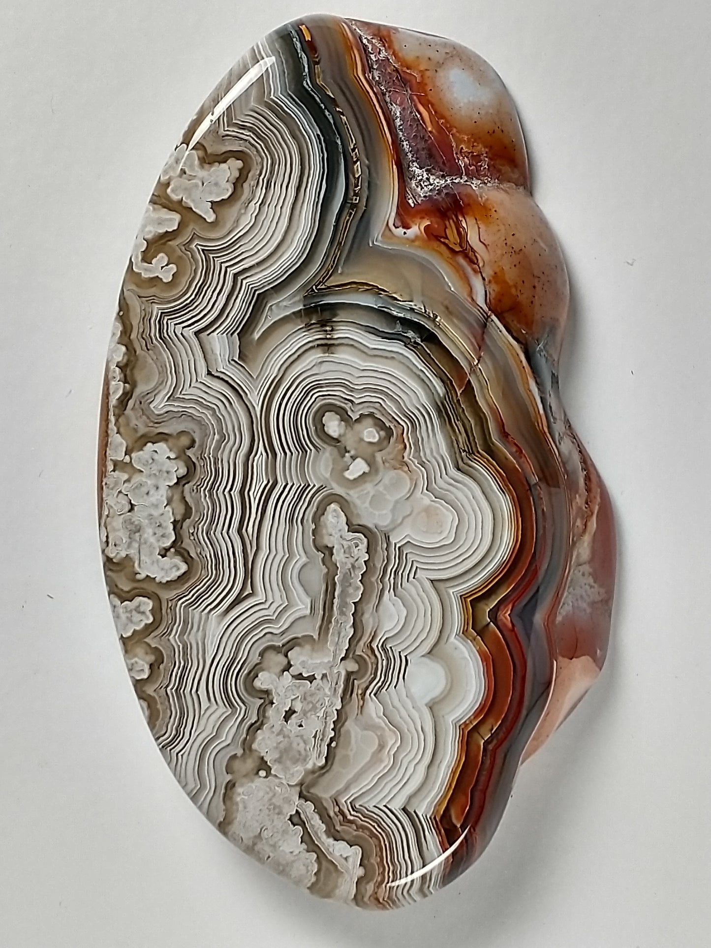 Crazy Lace Agate Cabochon Large