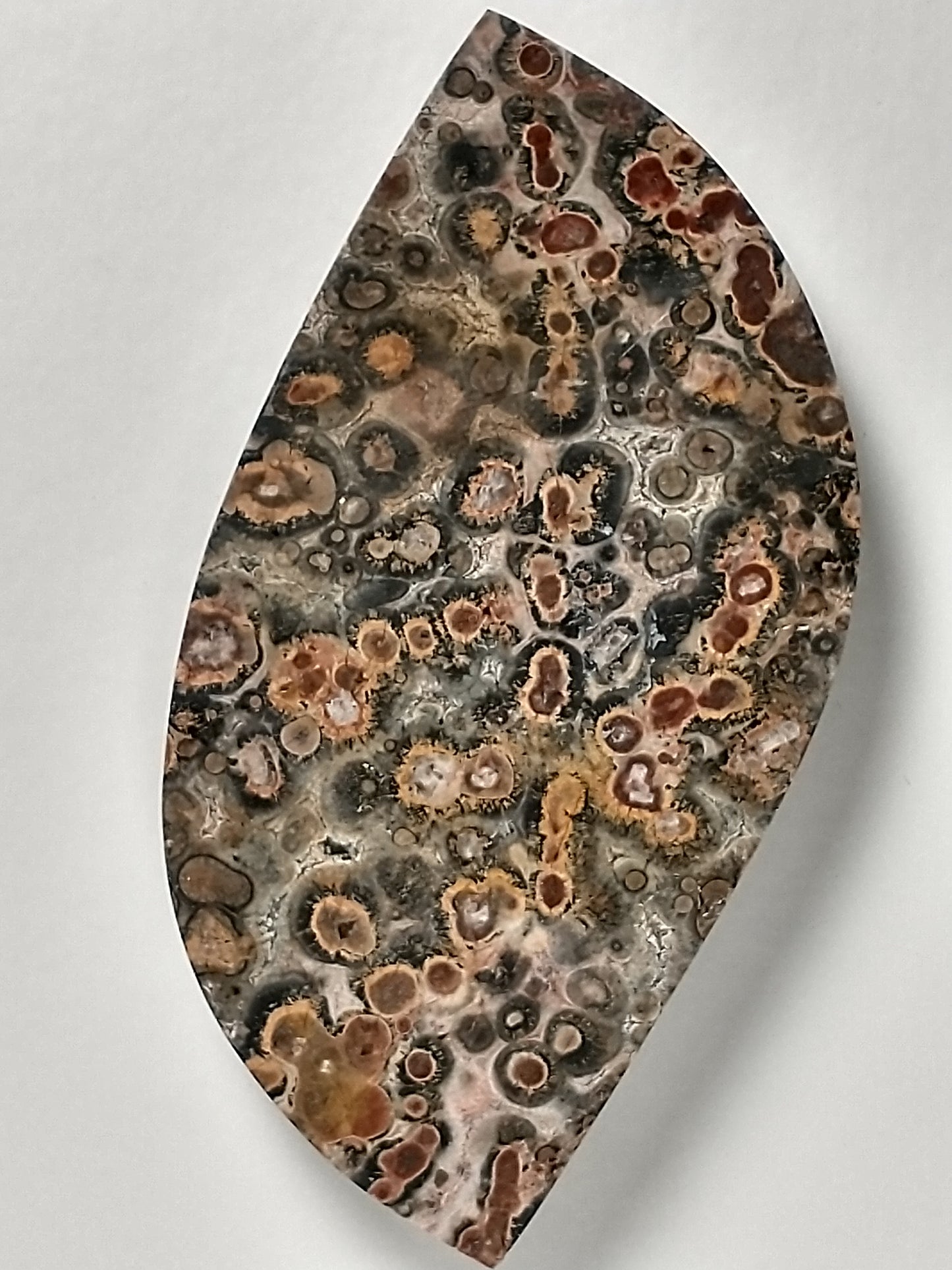 Leopard Skin Jasper Cabochon Large