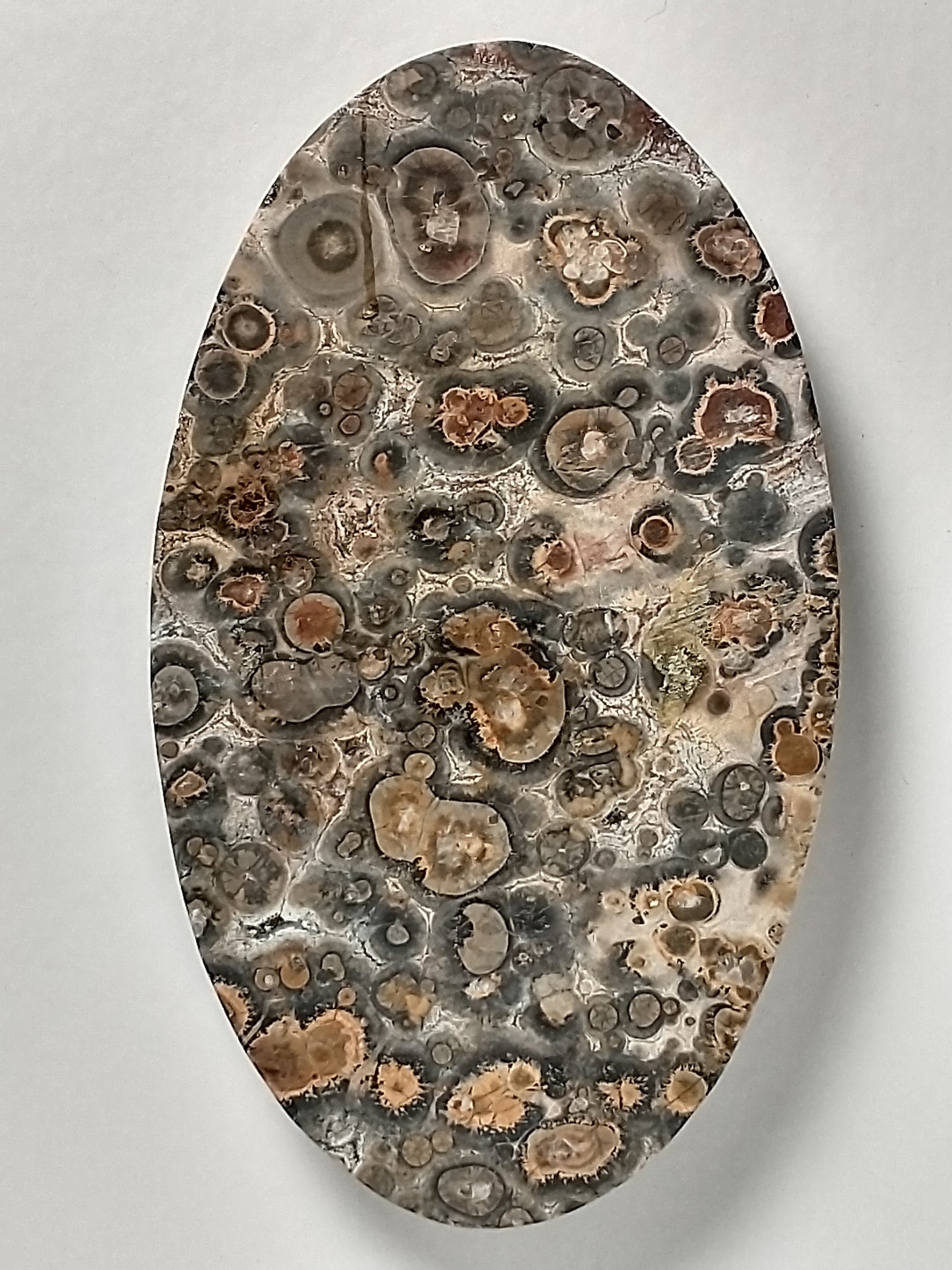 Leopard Skin Jasper Cabochon Large