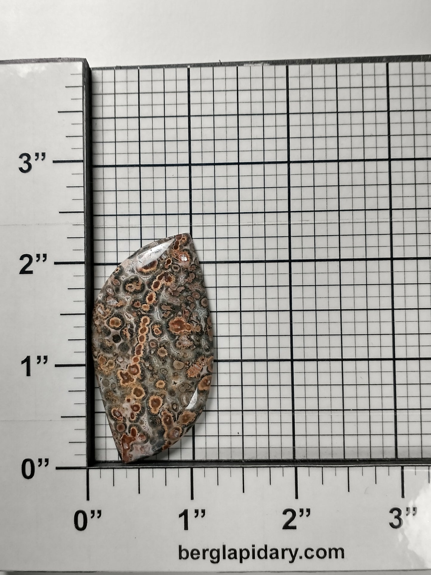 Leopard Skin Jasper Cabochon Large