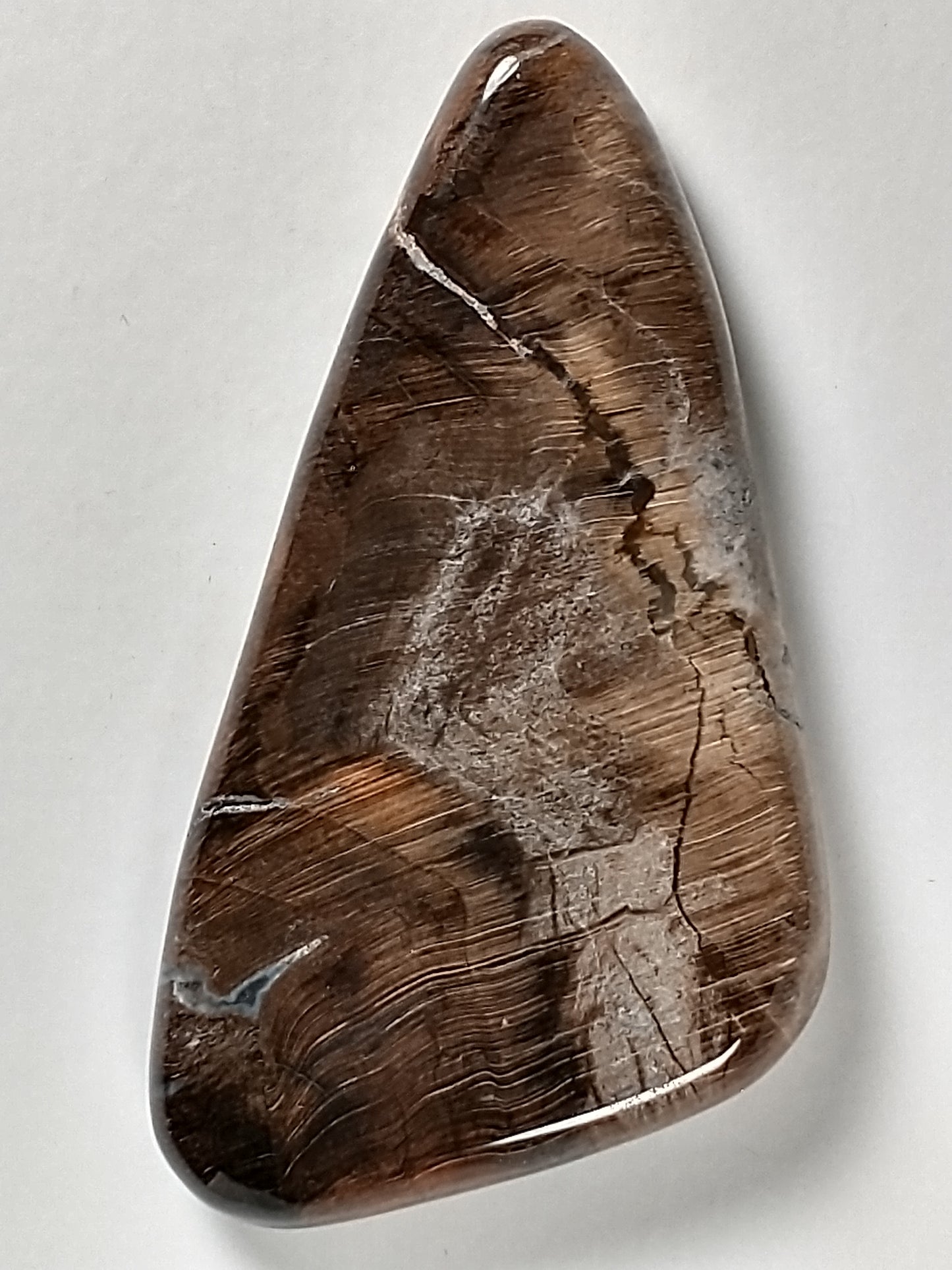 Petrified Wood Cabochon Large