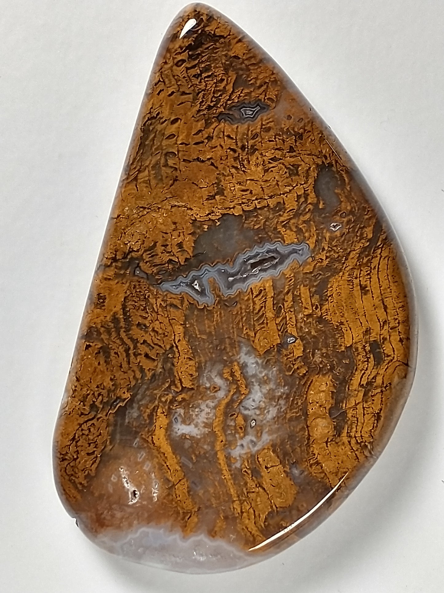 Petrified Wood Cabochon Large