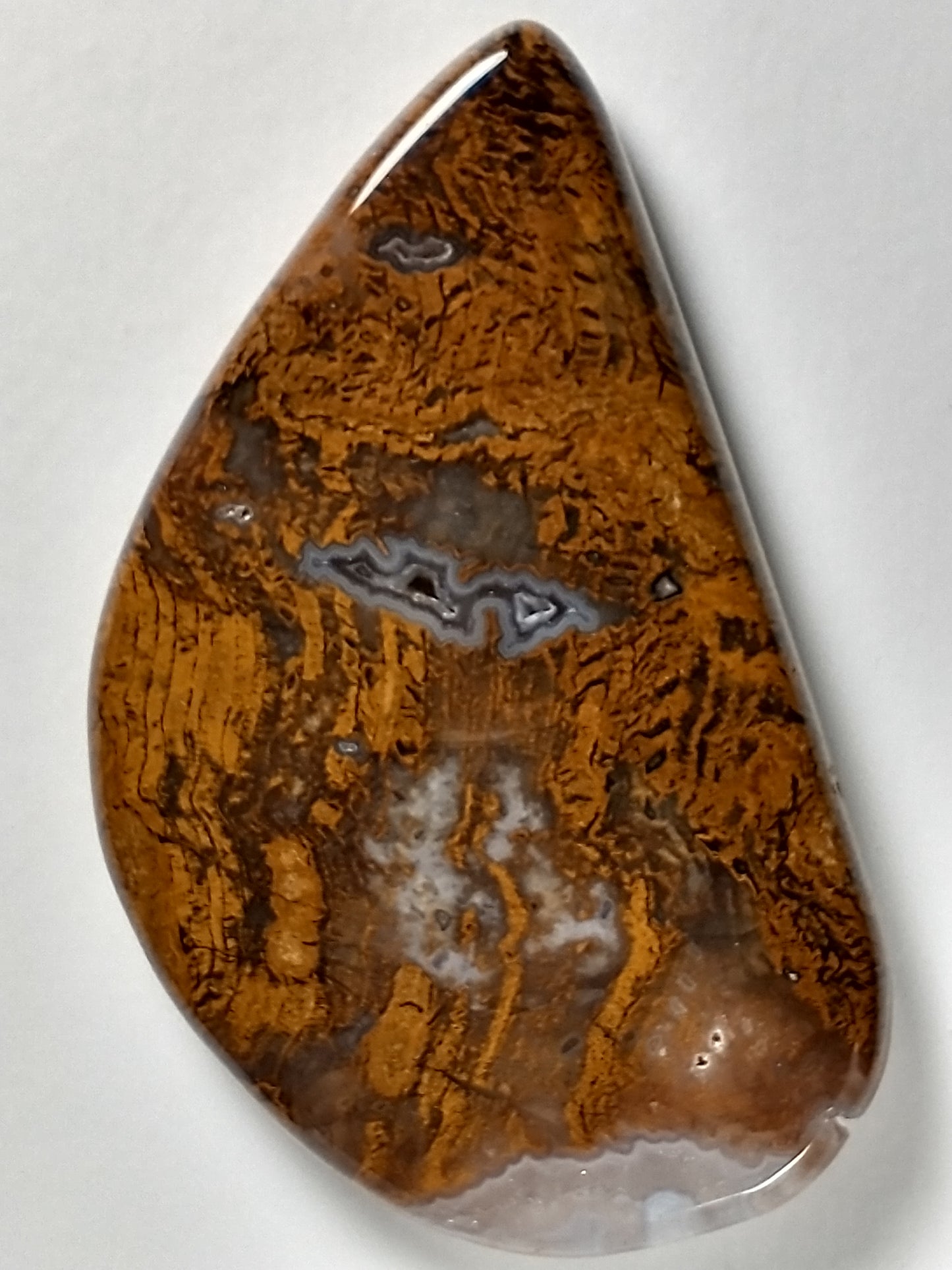 Petrified Wood Cabochon Large