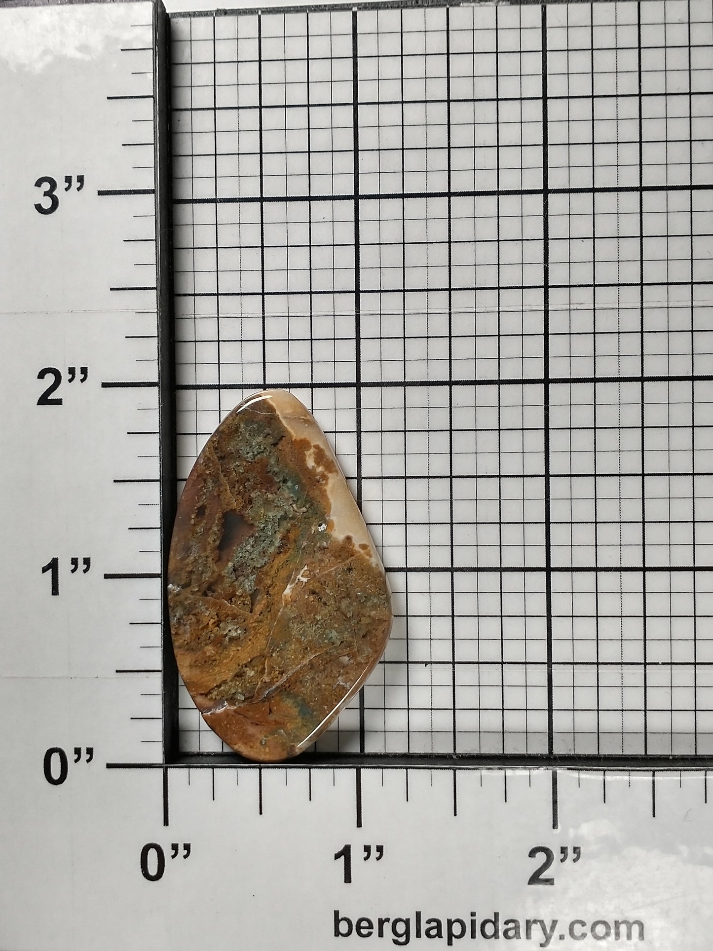 Petrified Wood Cabochon Medium