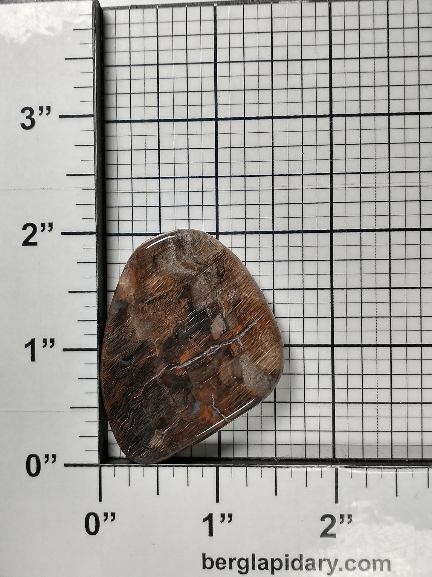 Petrified Wood Cabochon Large