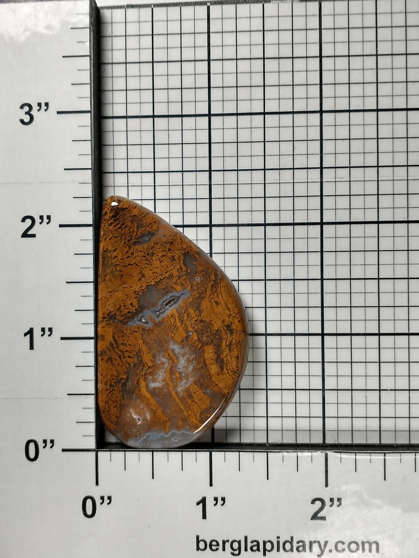 Petrified Wood Cabochon Large
