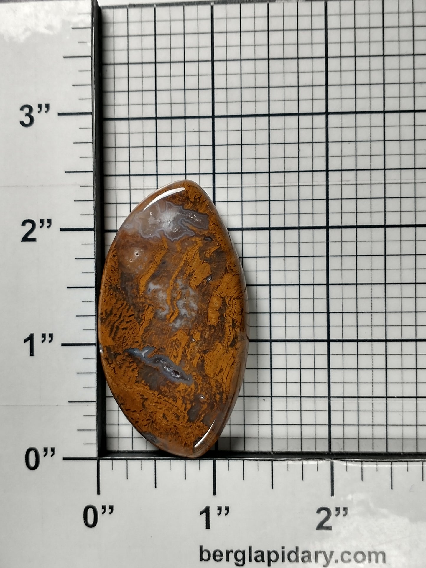 Petrified Wood Cabochon Large