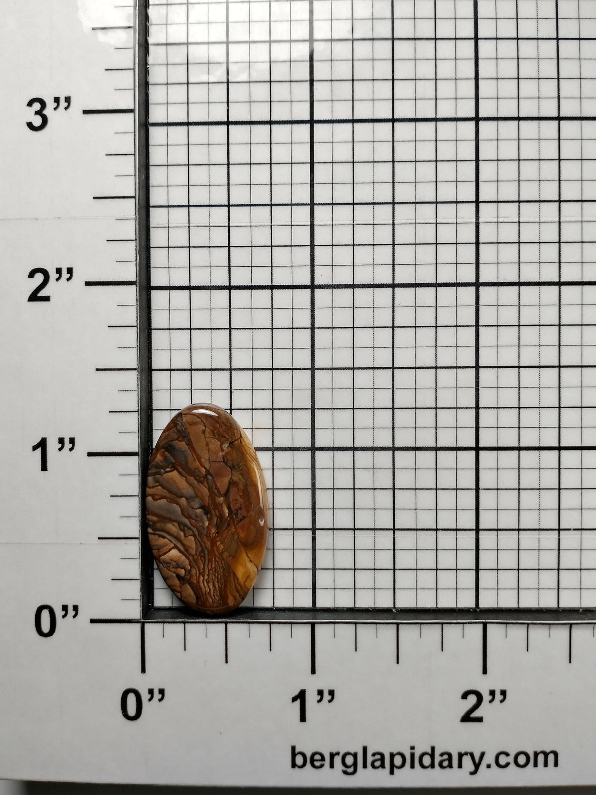 Biggs Jasper Cabochon Small