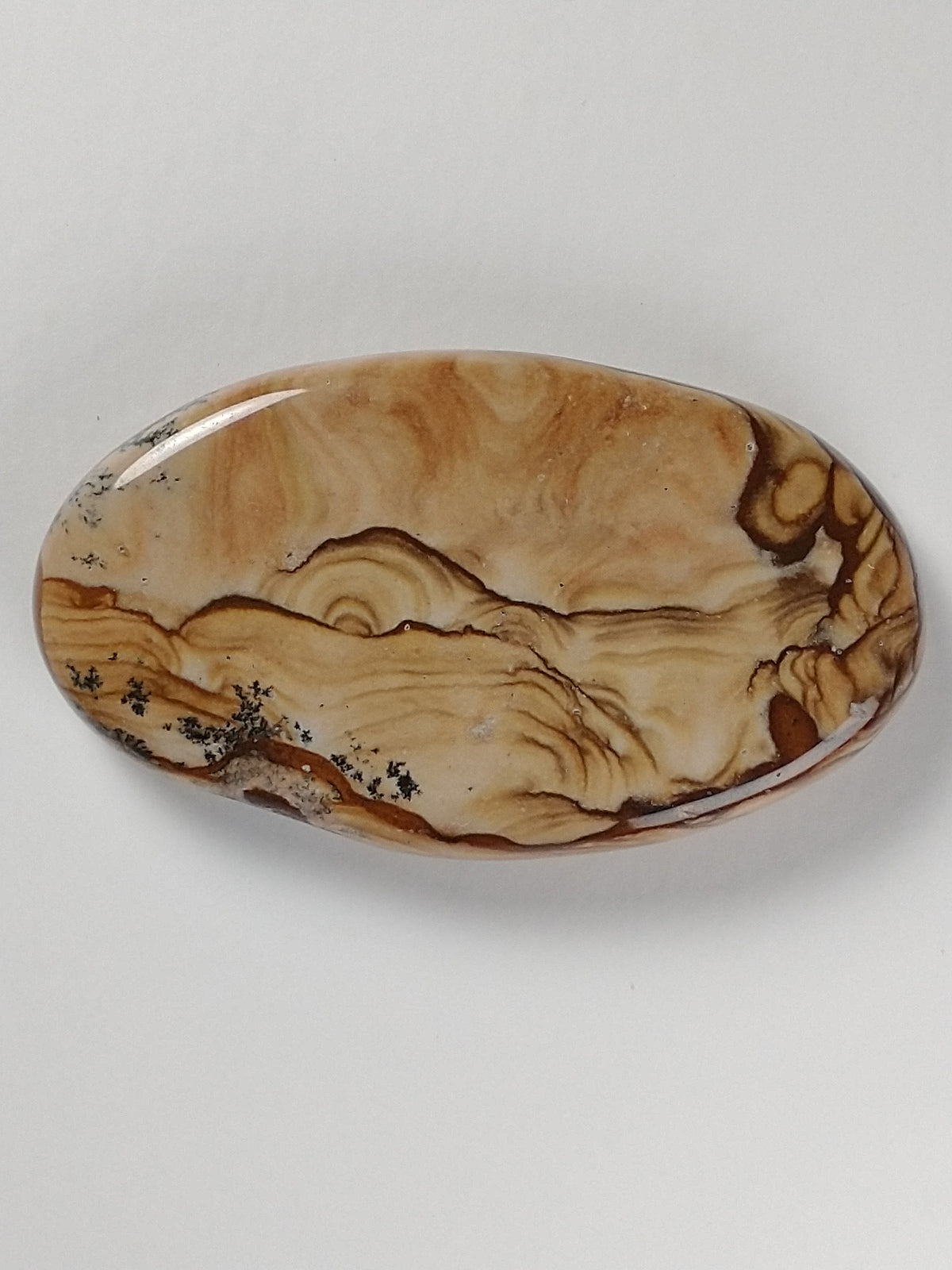 Biggs Jasper Cabochon Small