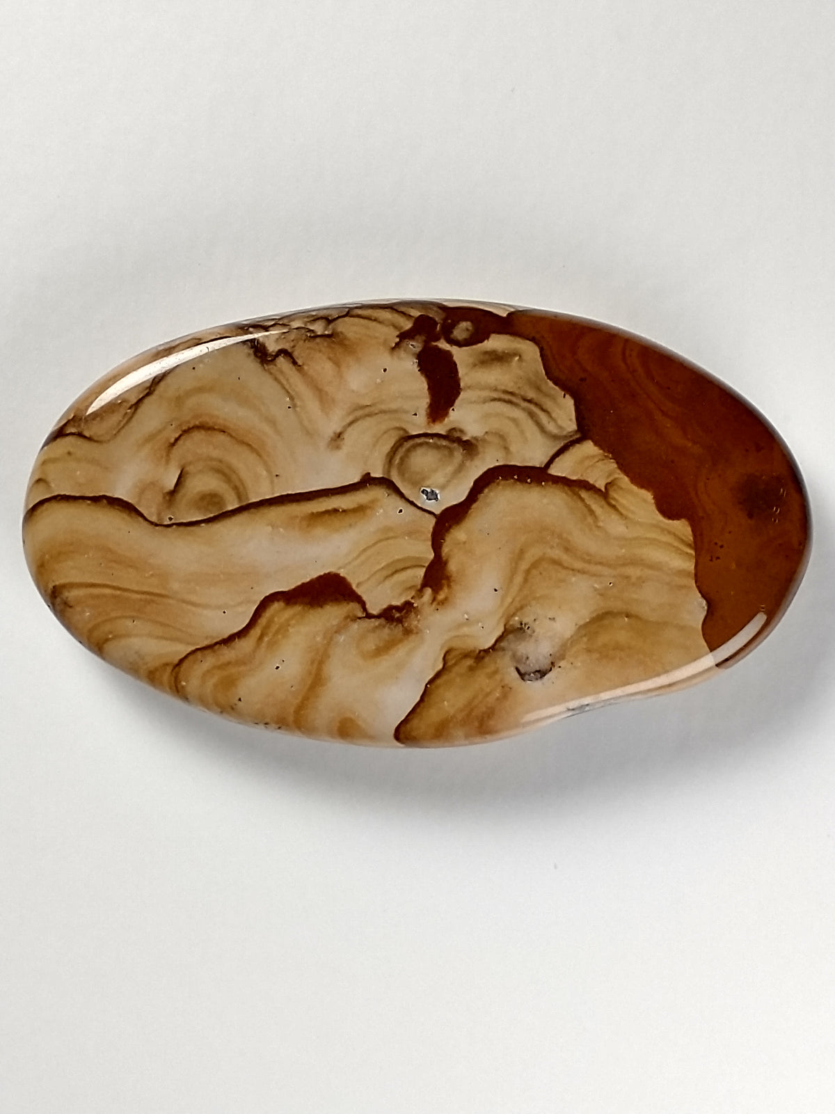 Biggs Jasper Cabochon Small