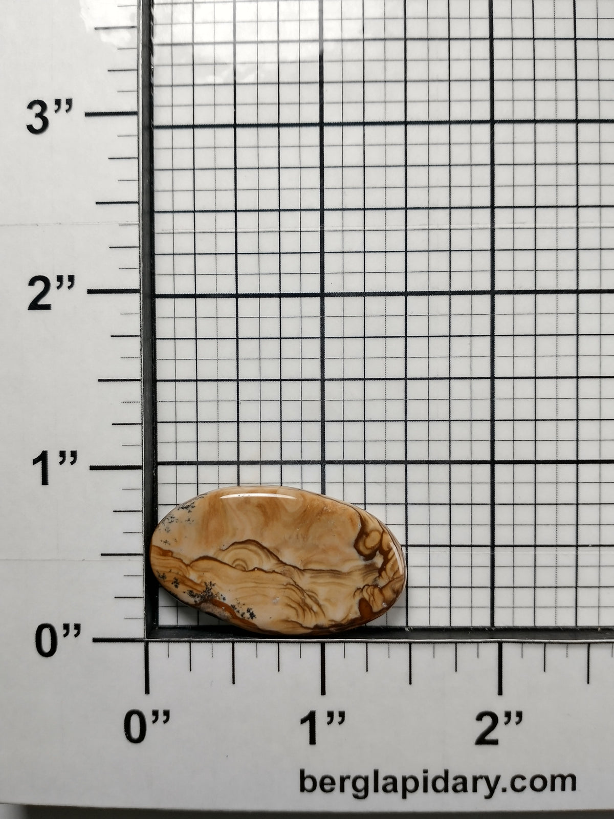Biggs Jasper Cabochon Small