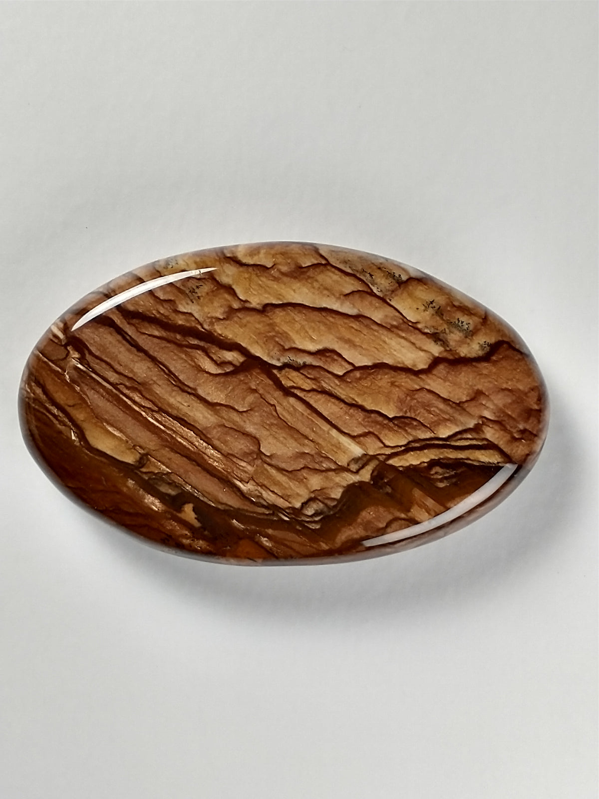 Biggs Jasper Cabochon Medium