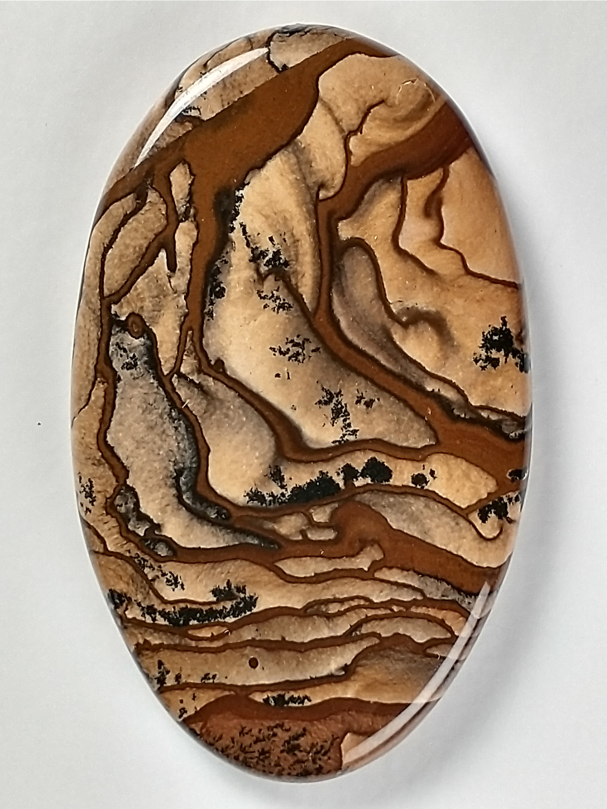 Biggs Jasper Cabochon Medium