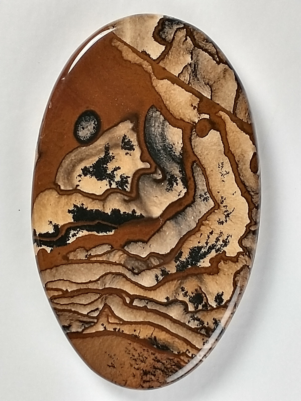 Biggs Jasper Cabochon Medium