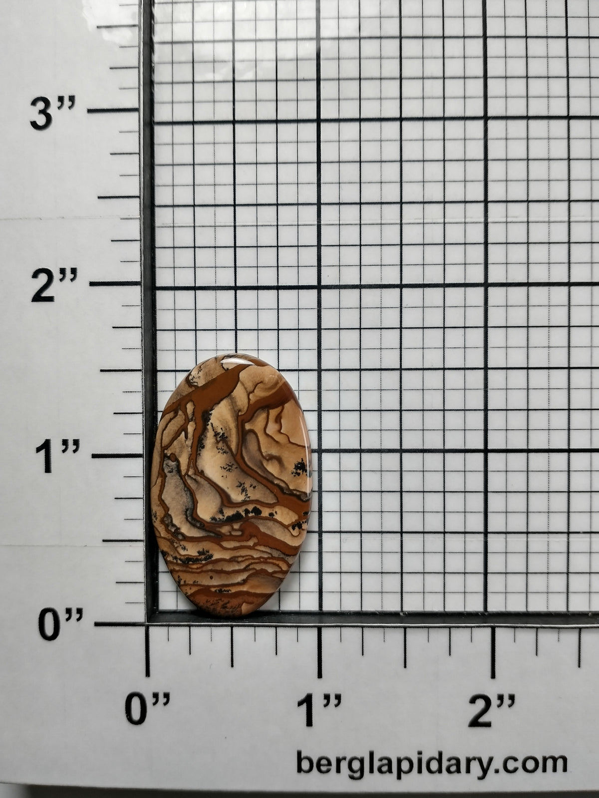 Biggs Jasper Cabochon Medium