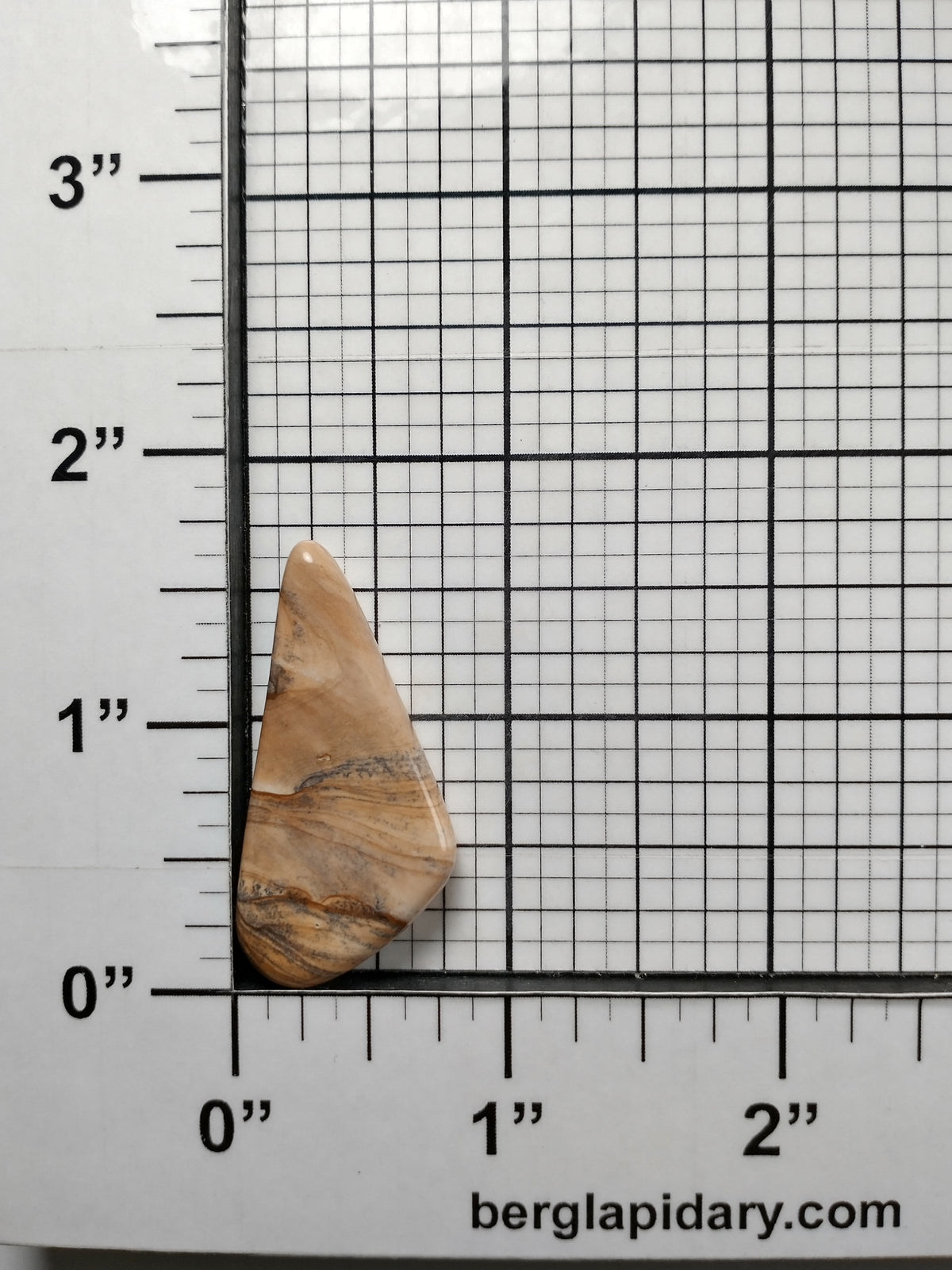 Biggs Jasper Cabochon Medium