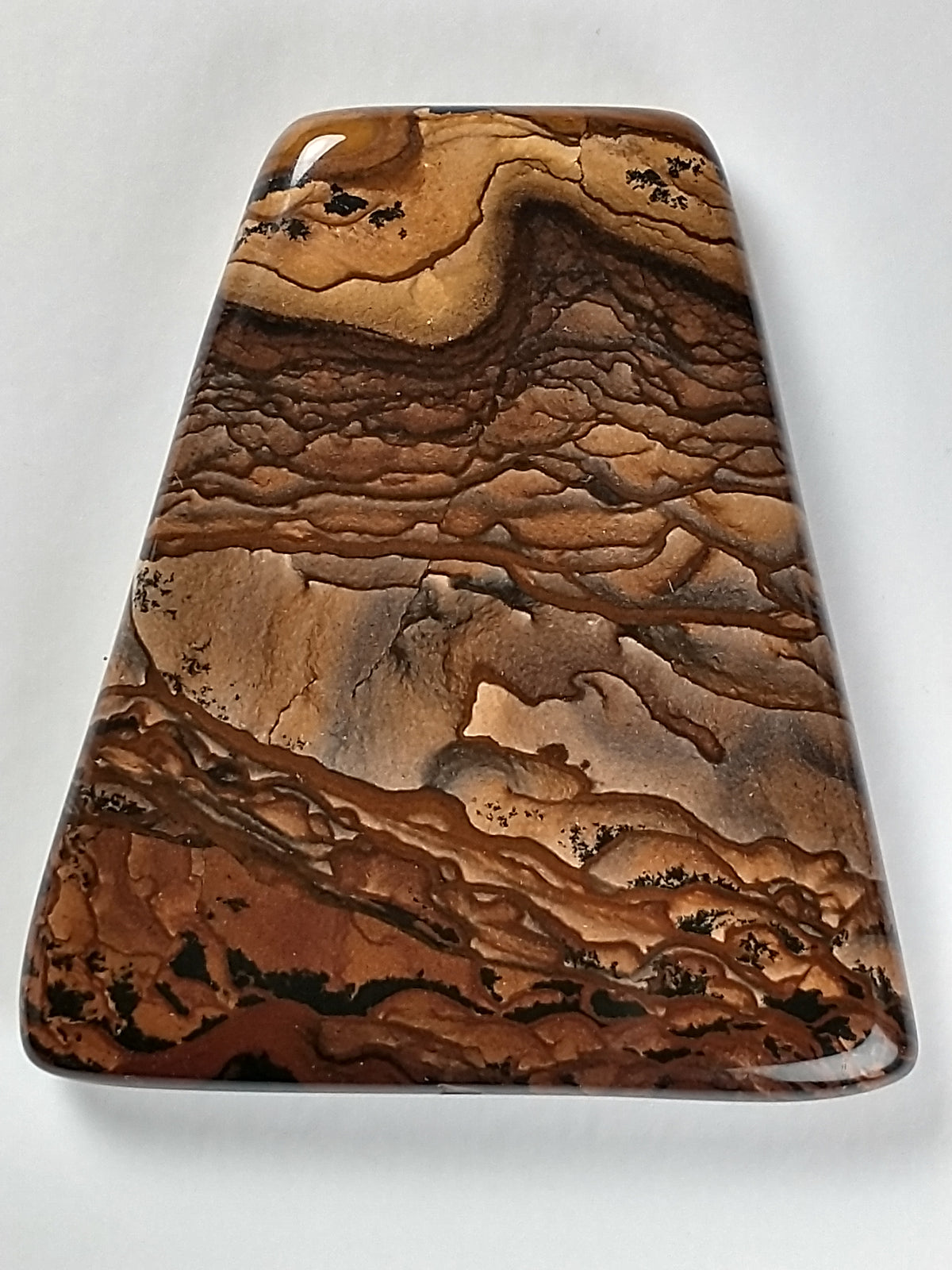 Biggs Jasper Cabochon Medium