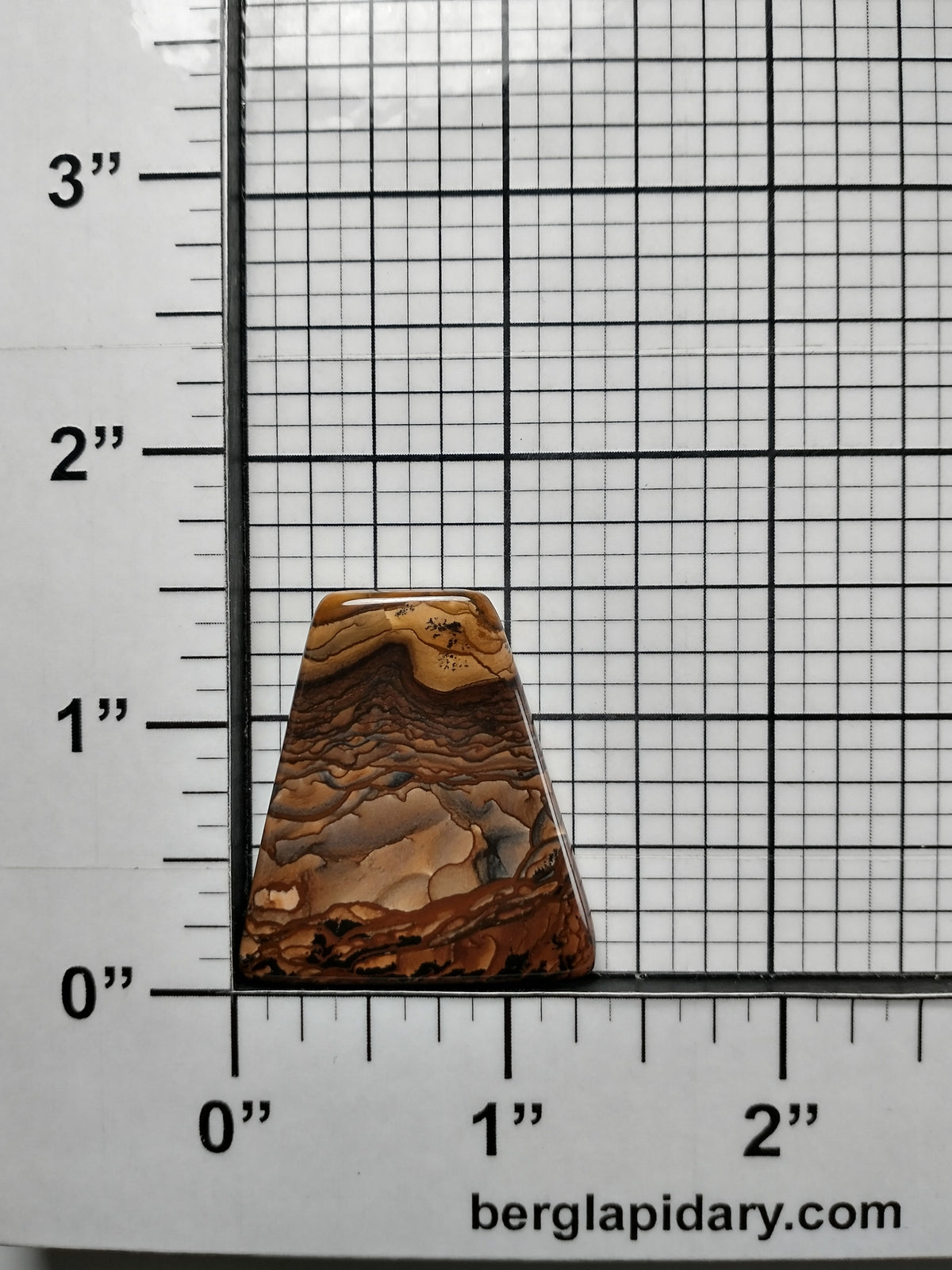 Biggs Jasper Cabochon Medium