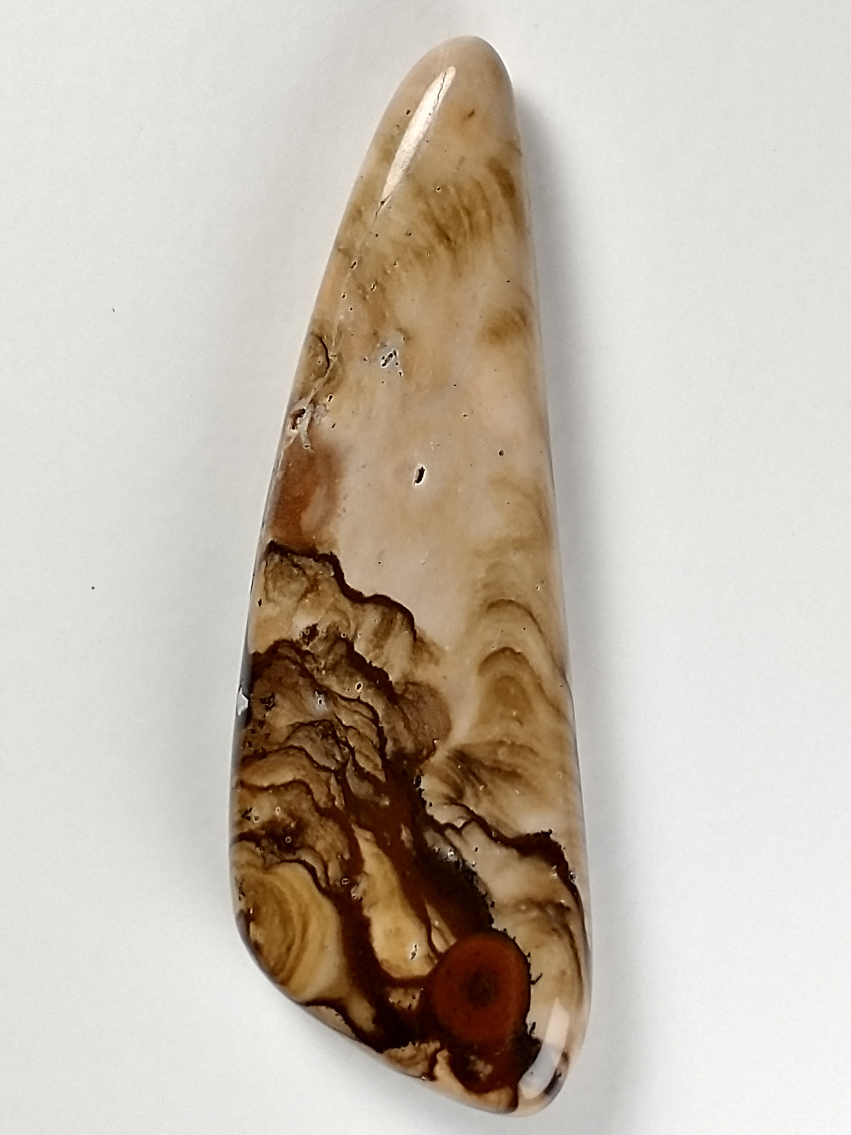 Biggs Jasper Cabochon Medium