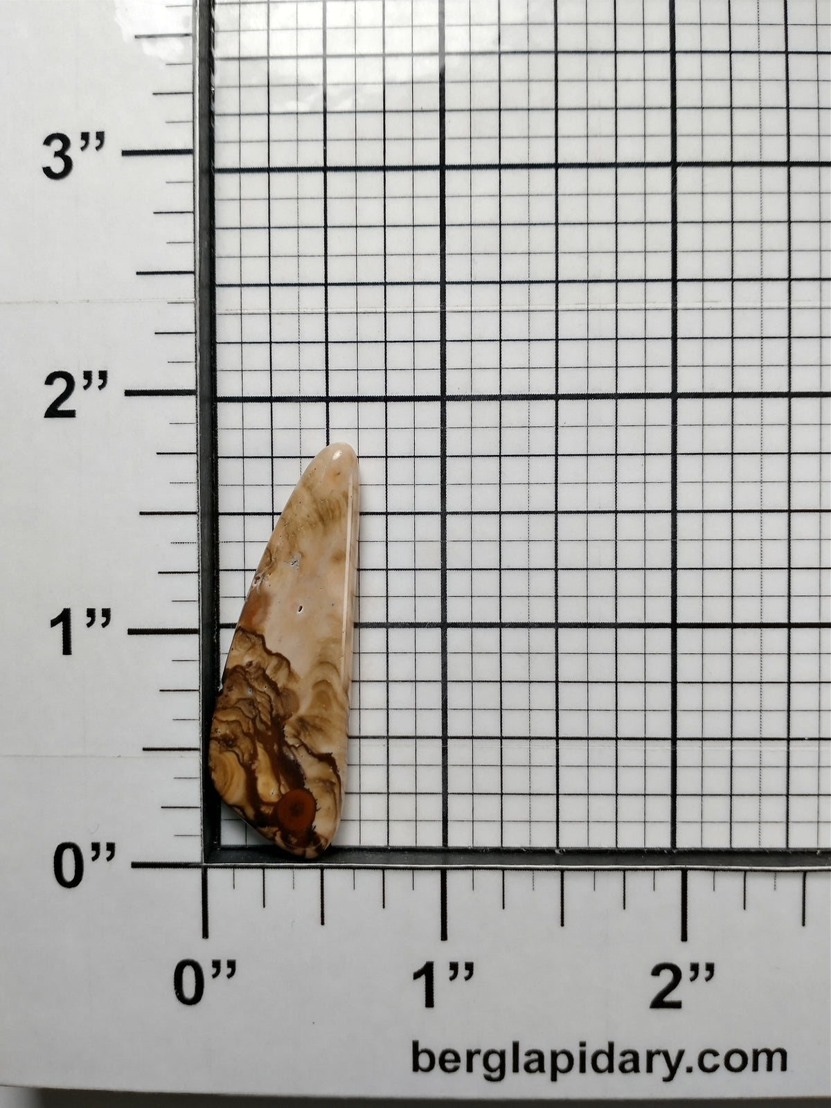 Biggs Jasper Cabochon Medium